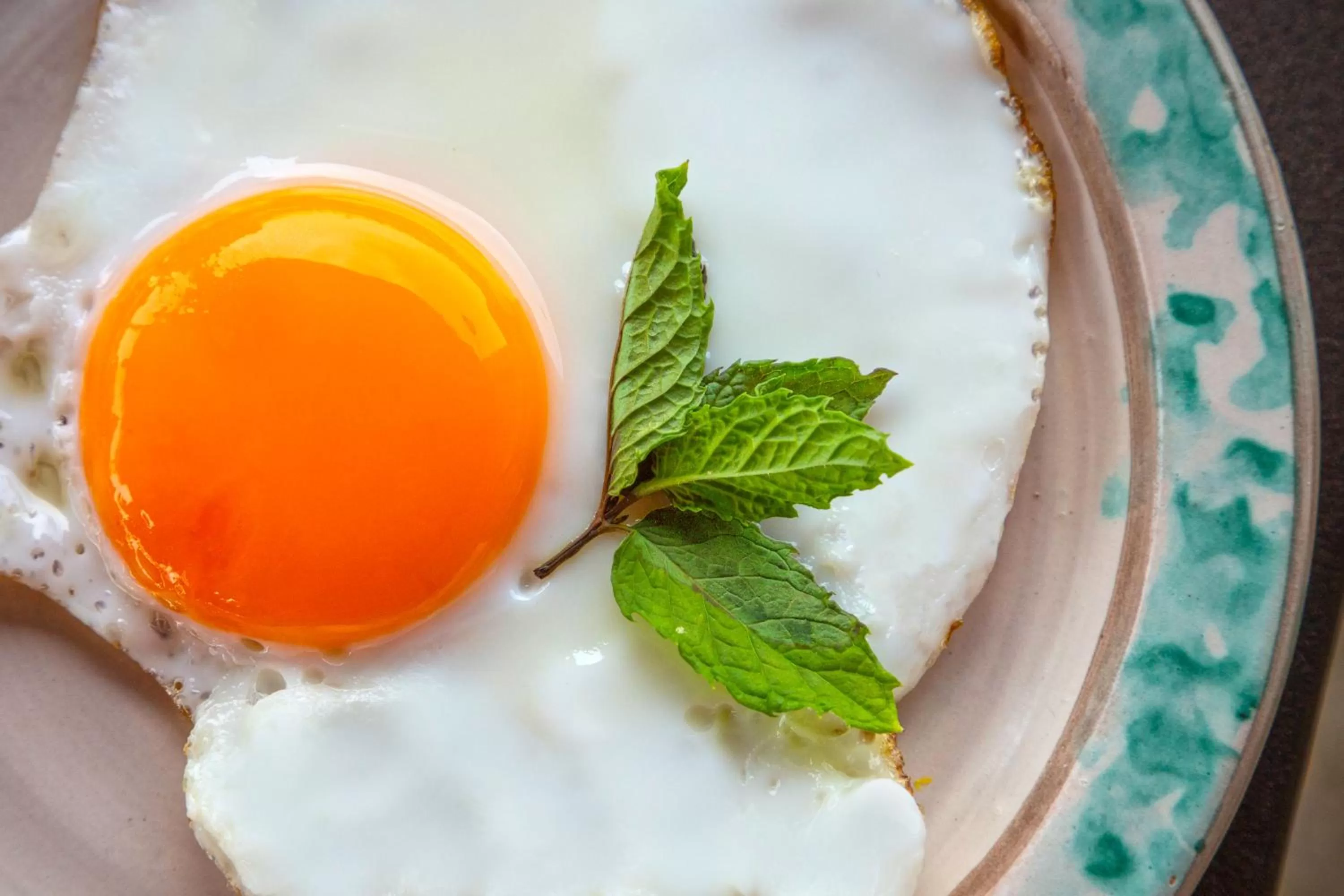 Restaurant/places to eat in Masseria Fortificata Lo Zafferaneto