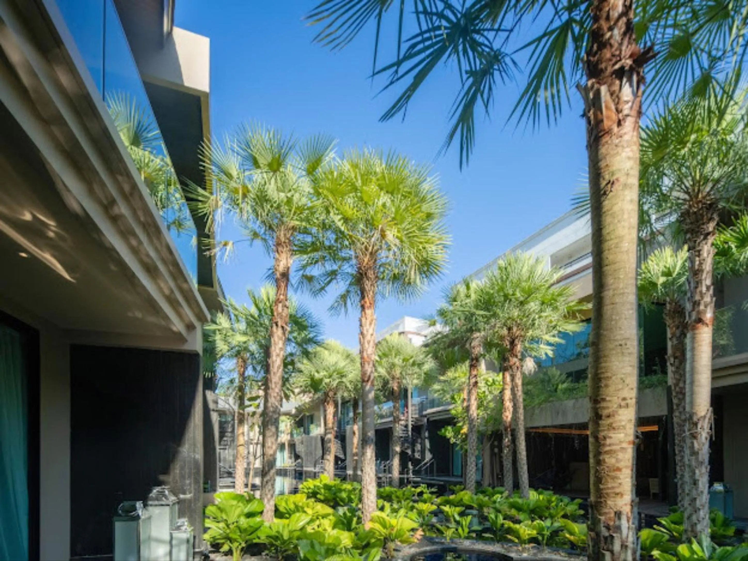 View (from property/room) in Areca Resort and Spa