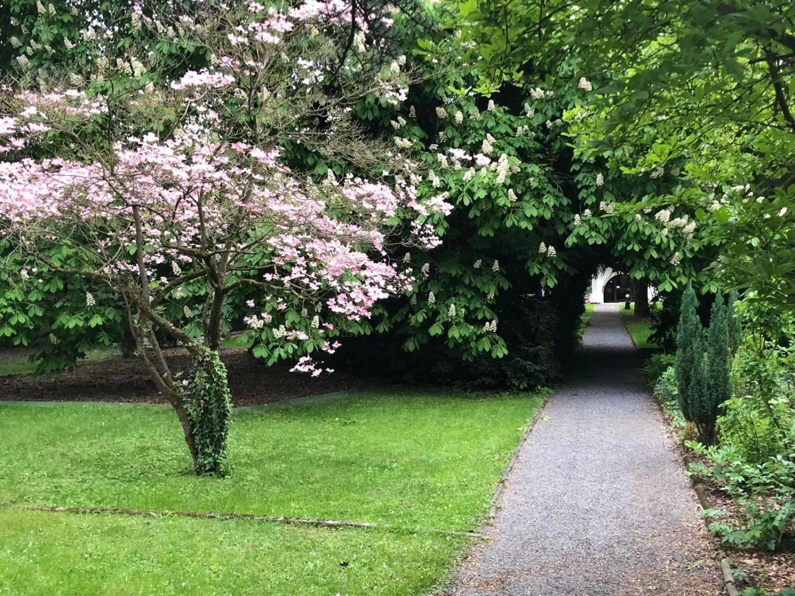 Garden in Hotel Büchner Garni