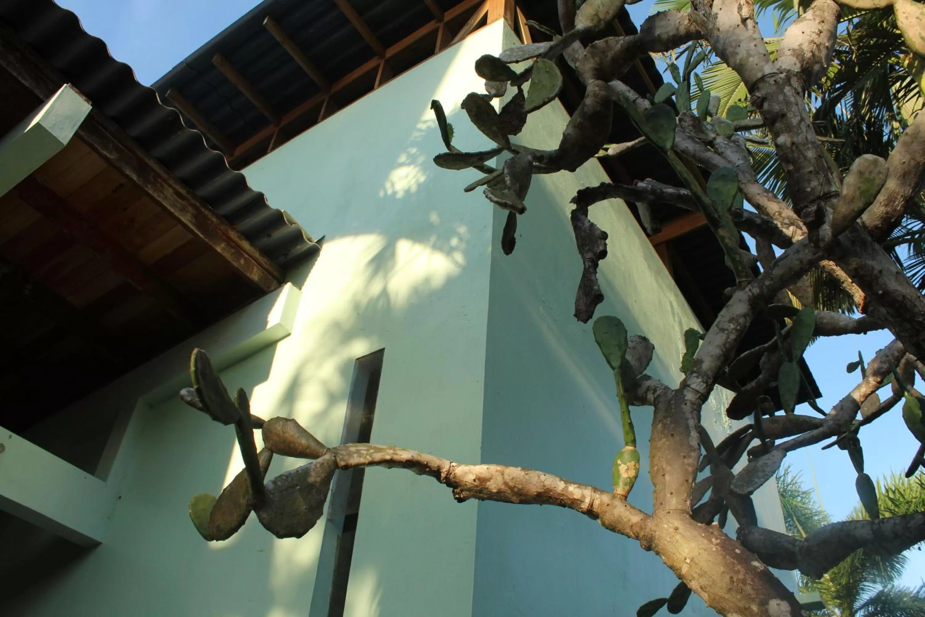 Property building in Bird Island Bungalows