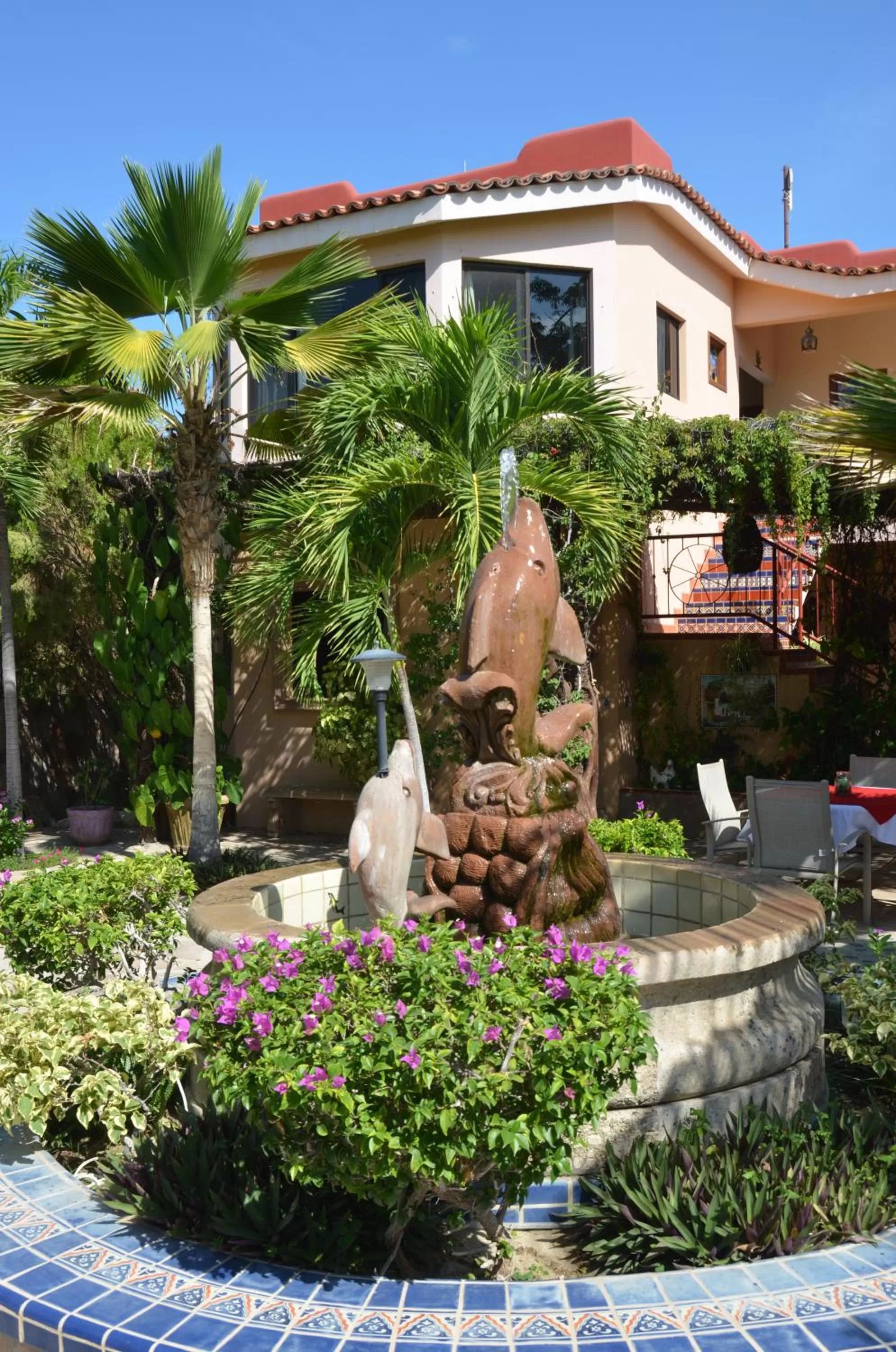 Garden in Hacienda De Palmas
