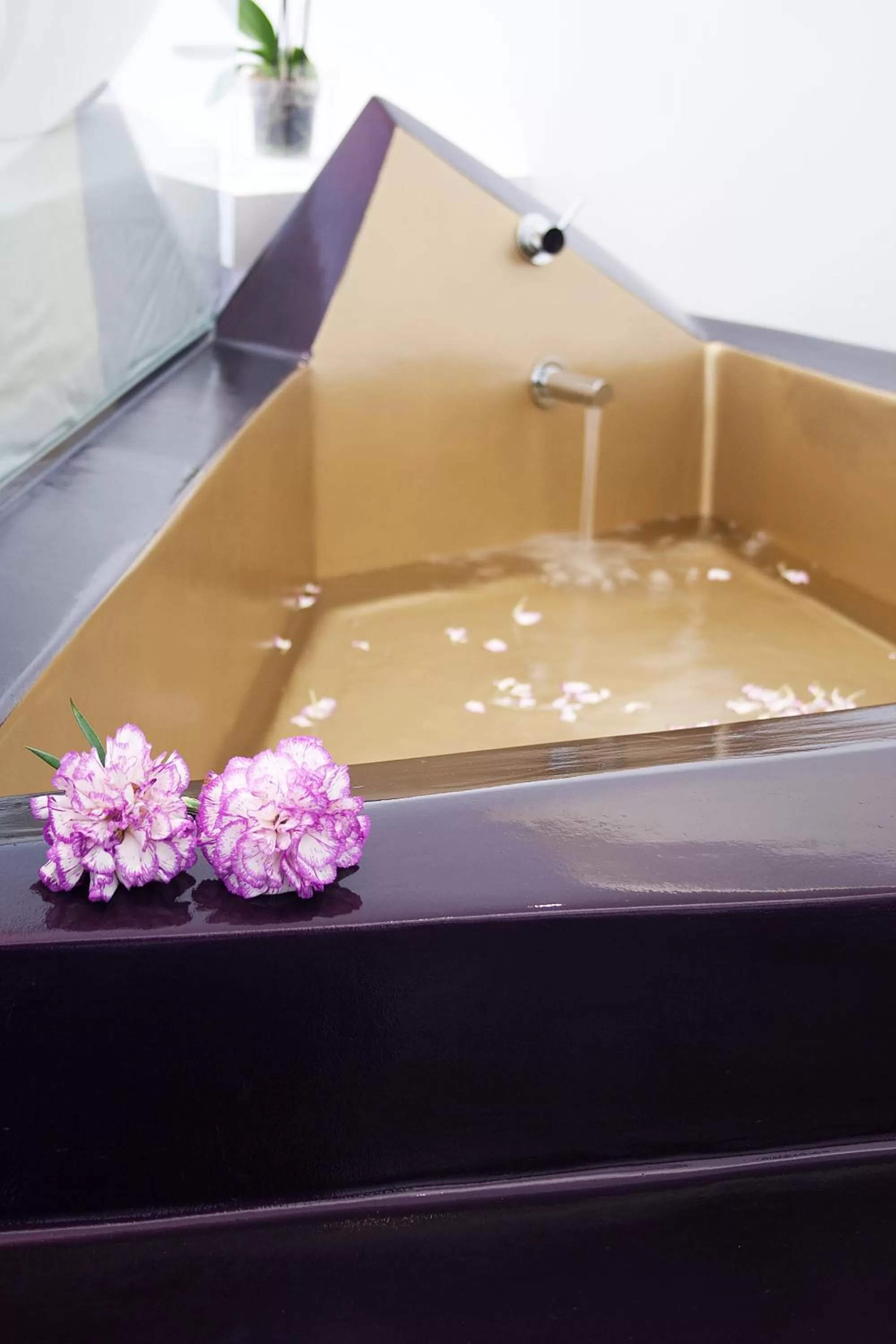 Photo of the whole room in Absoluto Design Hotel