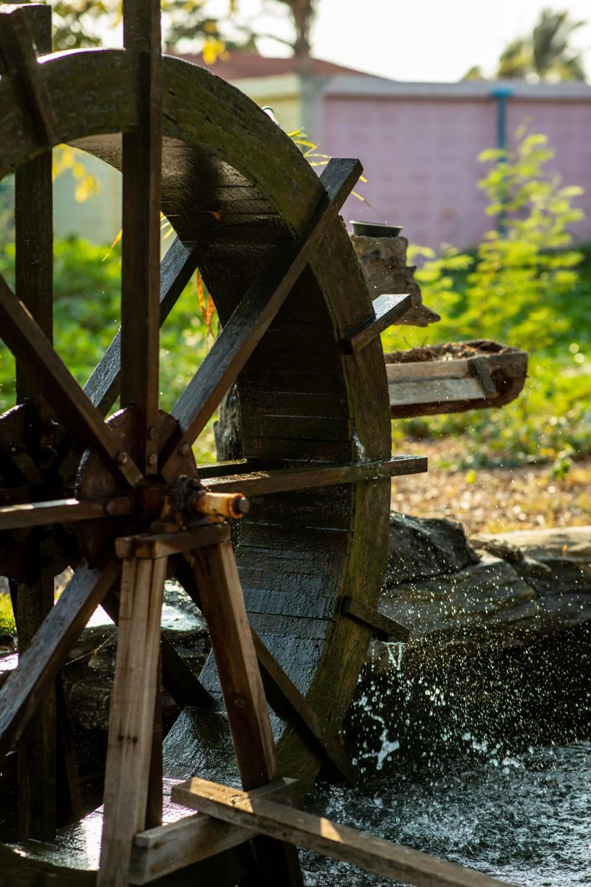 Garden view in Xanadu Beach Resort