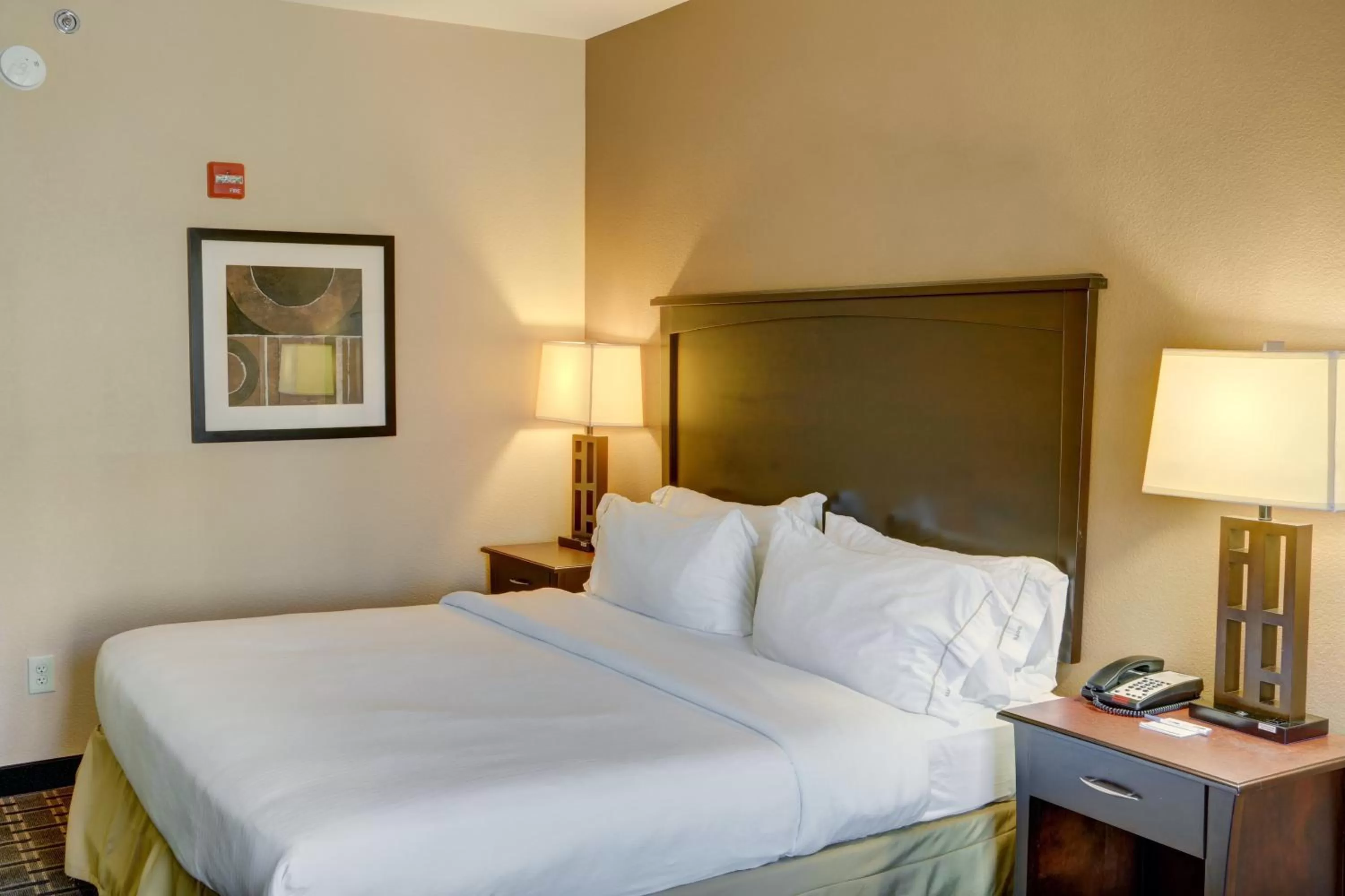 Photo of the whole room, Bed in Holiday Inn Express Hotel & Suites Texarkana East by IHG