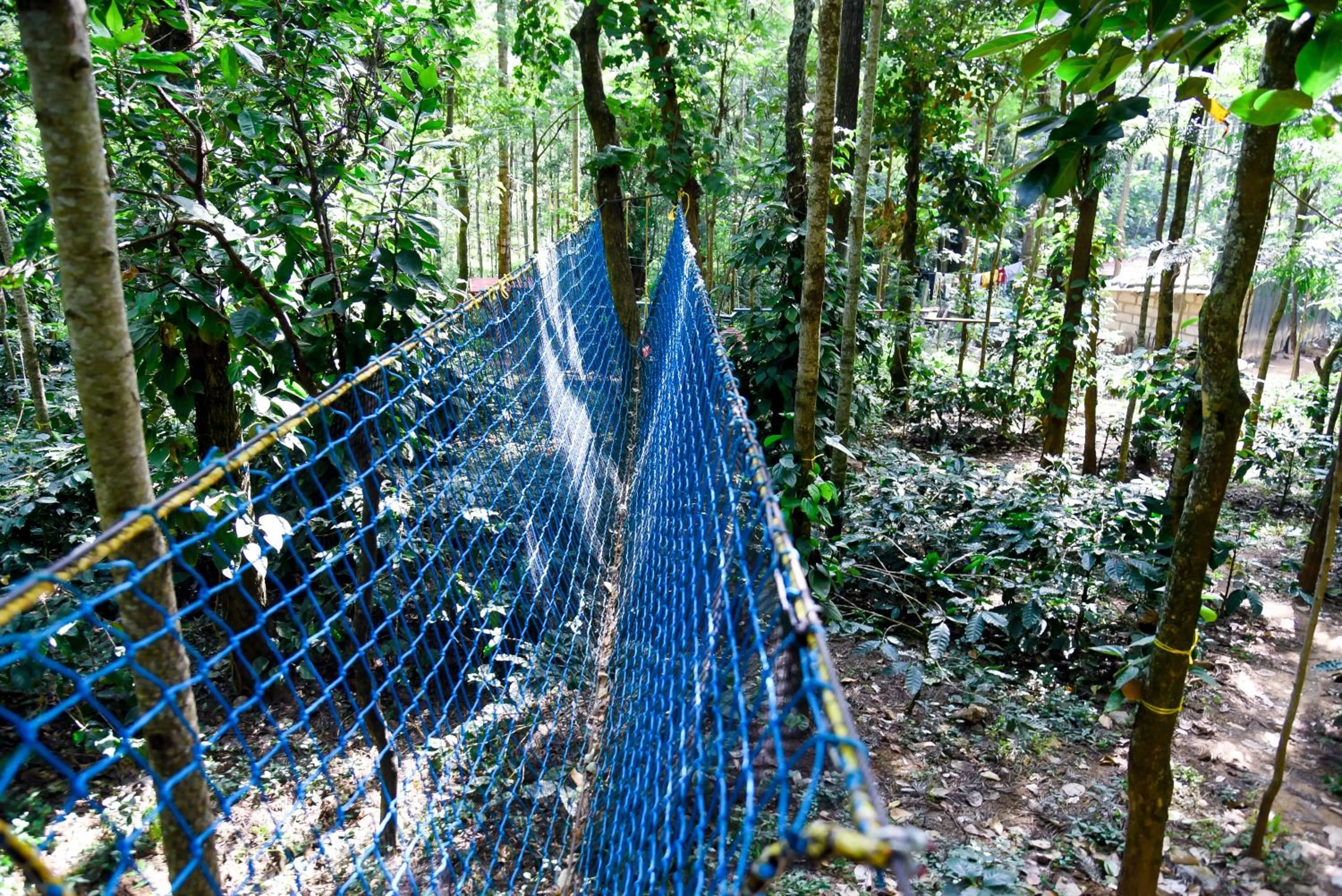 Activities in The Spectrum Resort, Chikmagalur