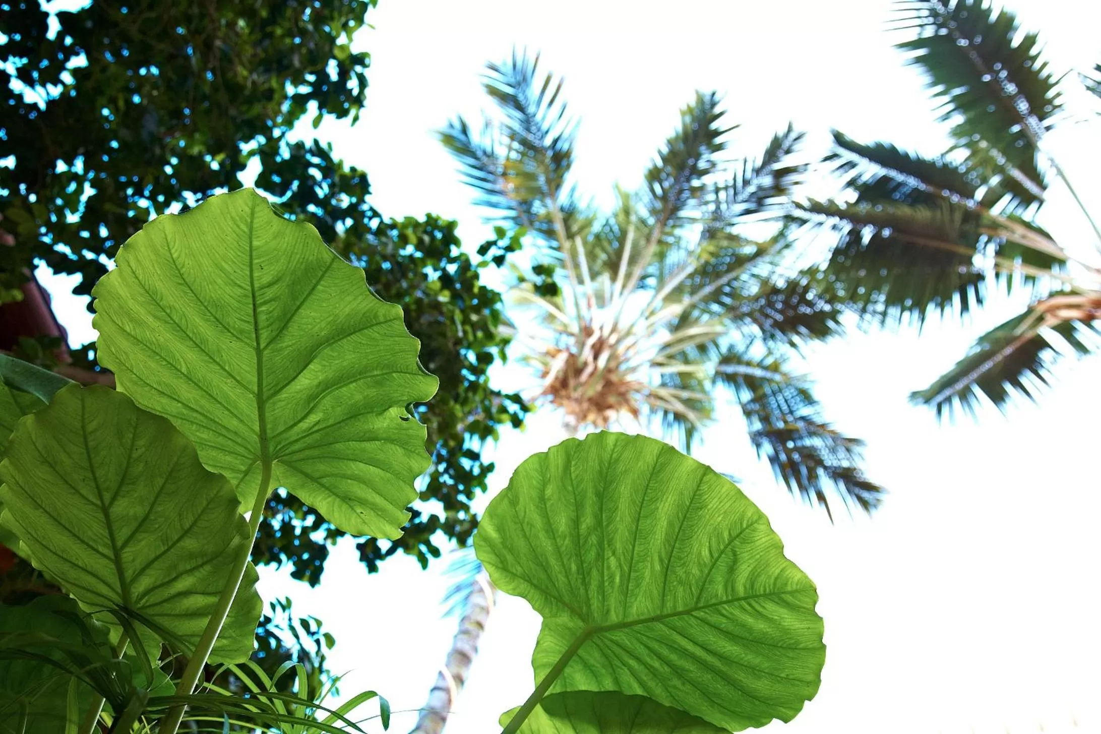 Day in Hotel Emblemático San Agustin