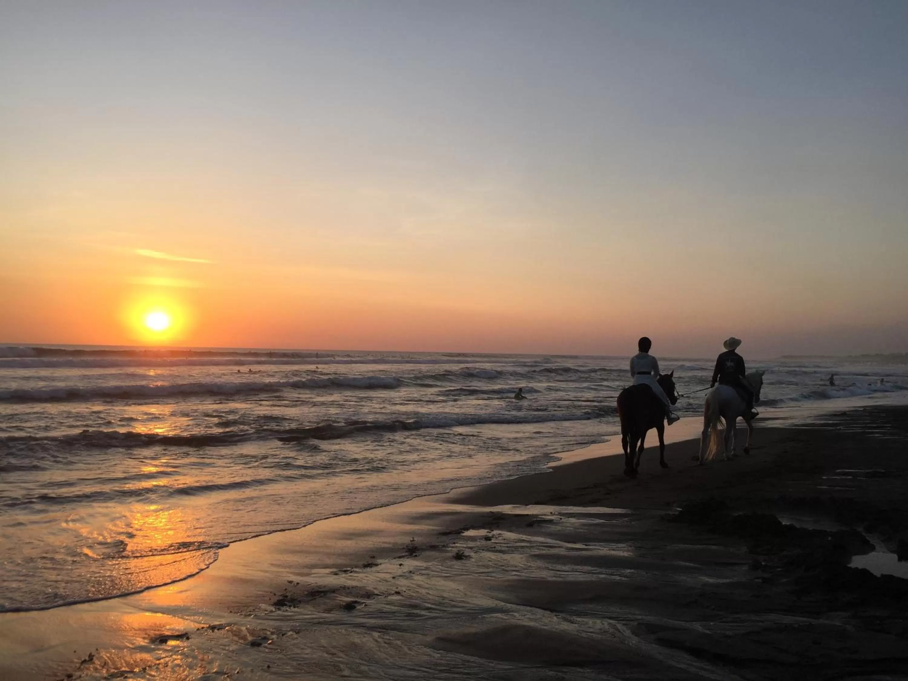 Horse-riding in Seri Resort Gili Meno - Adults Only