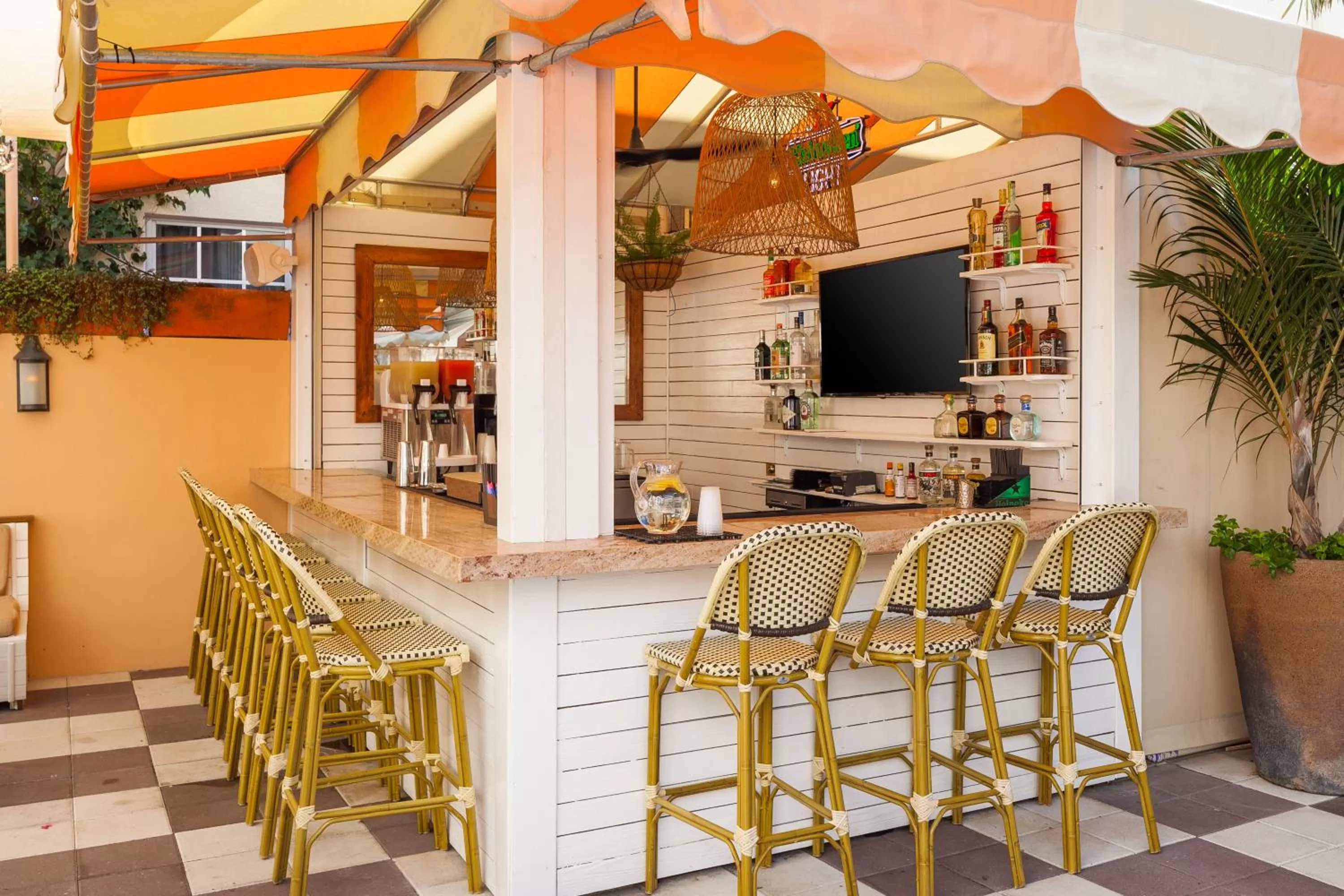 Lounge or bar in The Plymouth South Beach