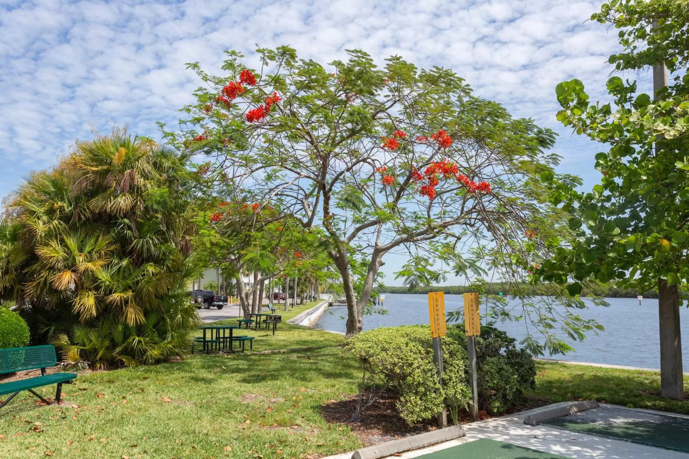 BBQ facilities in TAMPA BAY, BEACH step away, WIFI, FREE PARKING,POOLS, JACUZZI