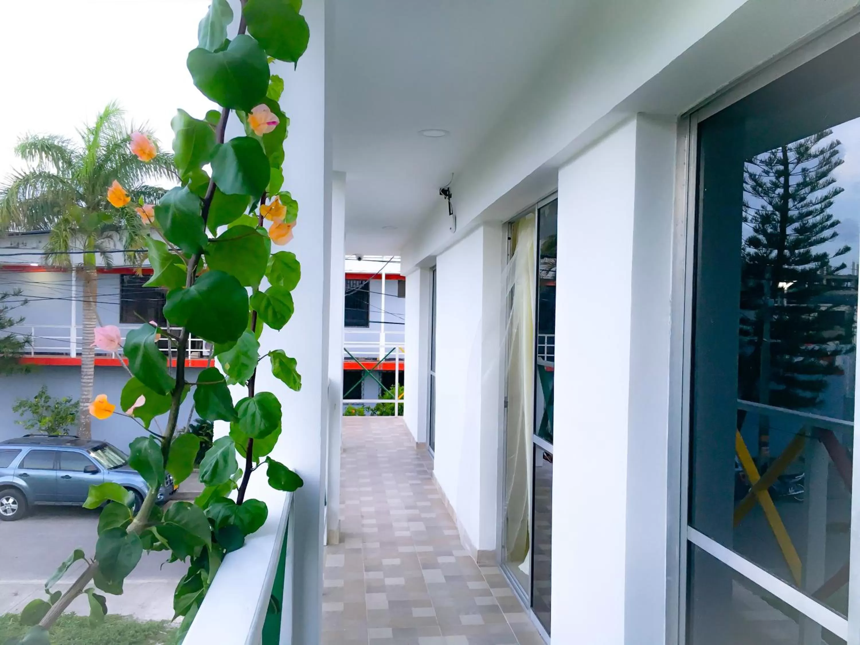 Balcony/Terrace in Posada Miss Joyce House
