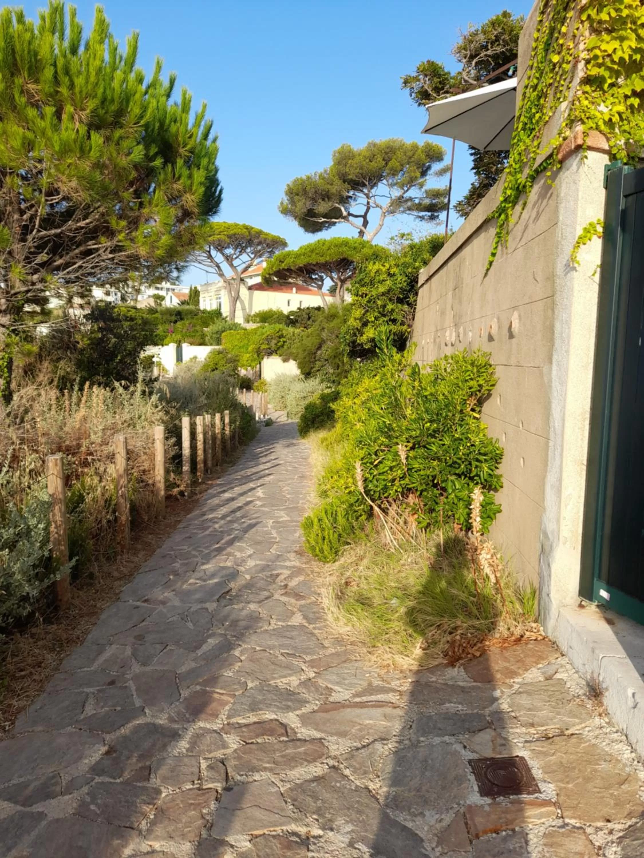 Chambre d'hôtes au bord de mer