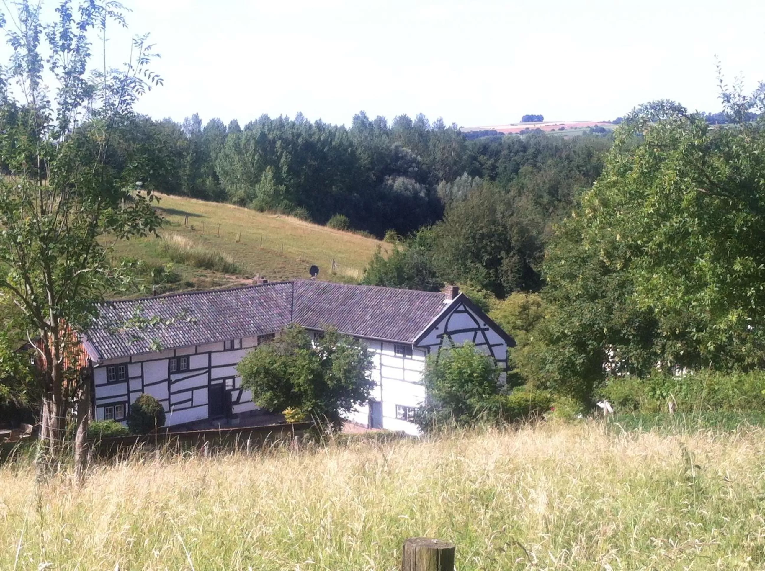 Natural landscape in Hotel Brull