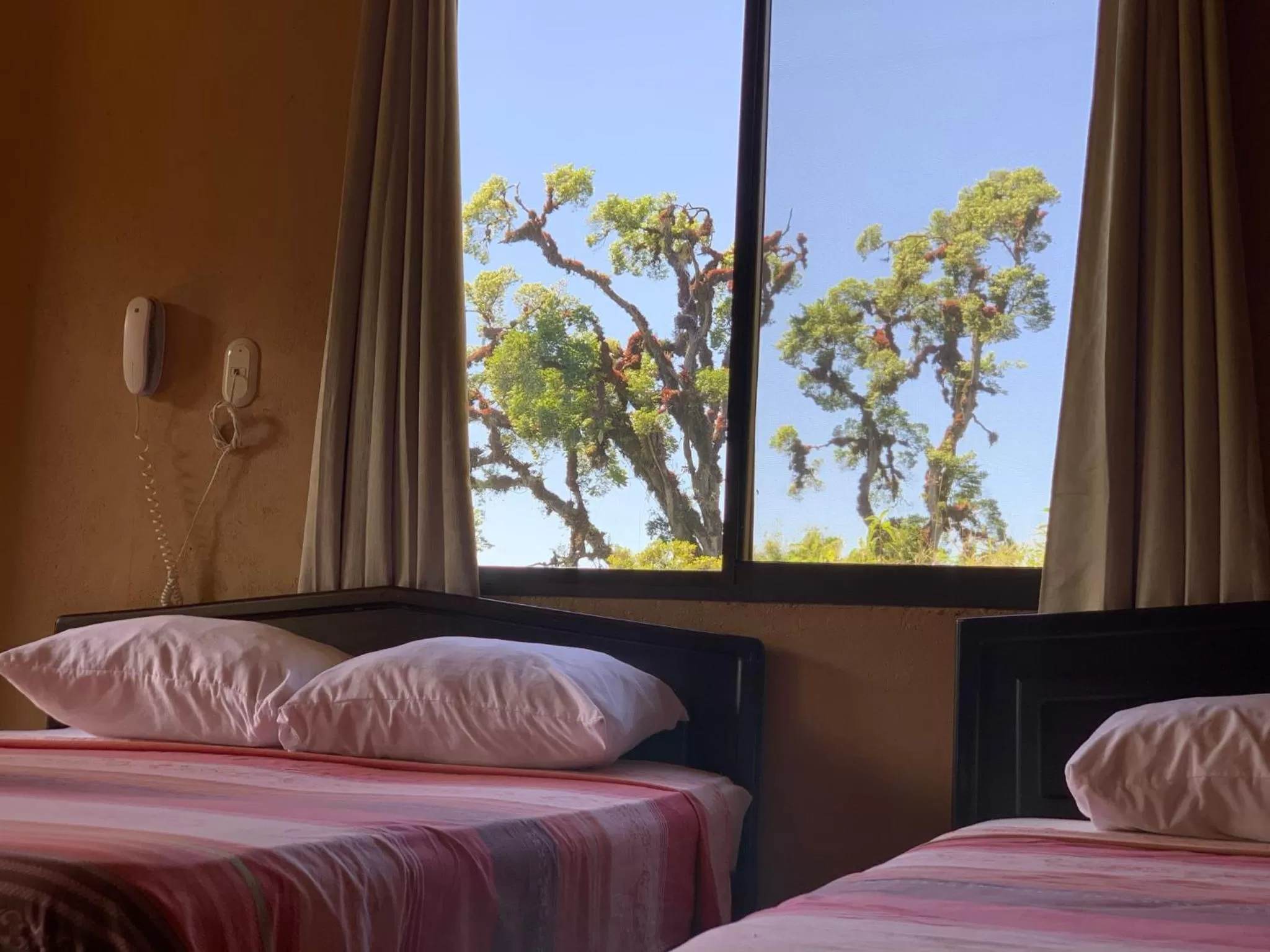 Junior Suite with Terrace in Hotel de Montaña El Pelicano