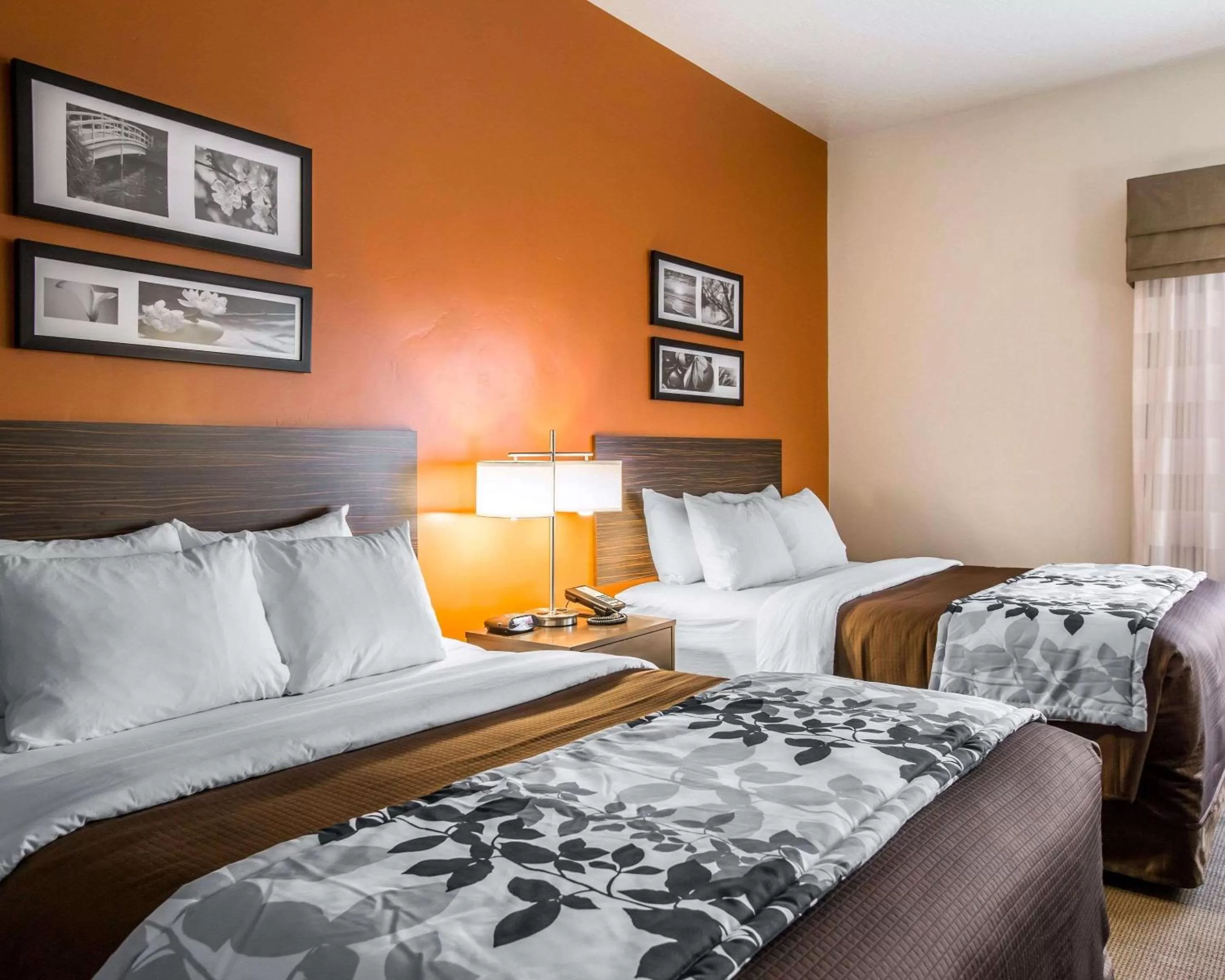 Photo of the whole room, Bed in Sleep Inn & Suites Page at Lake Powell