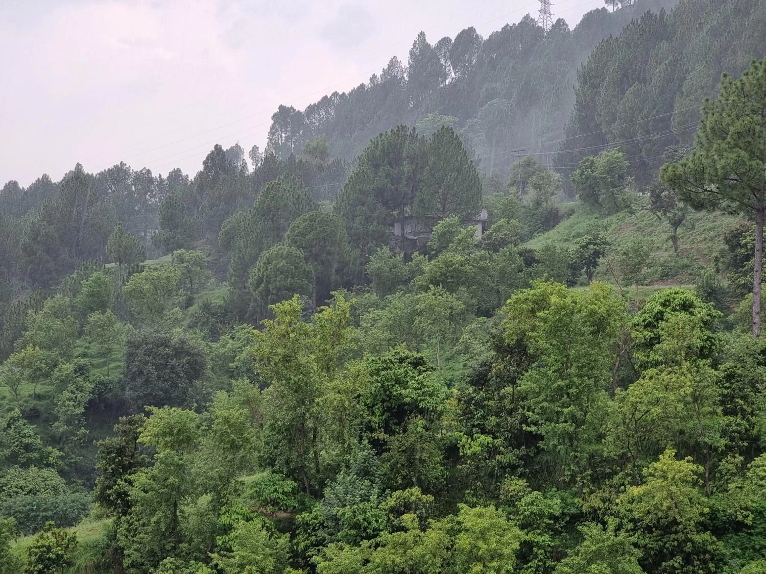 Natural landscape, Mountain View in Srinagar Homes