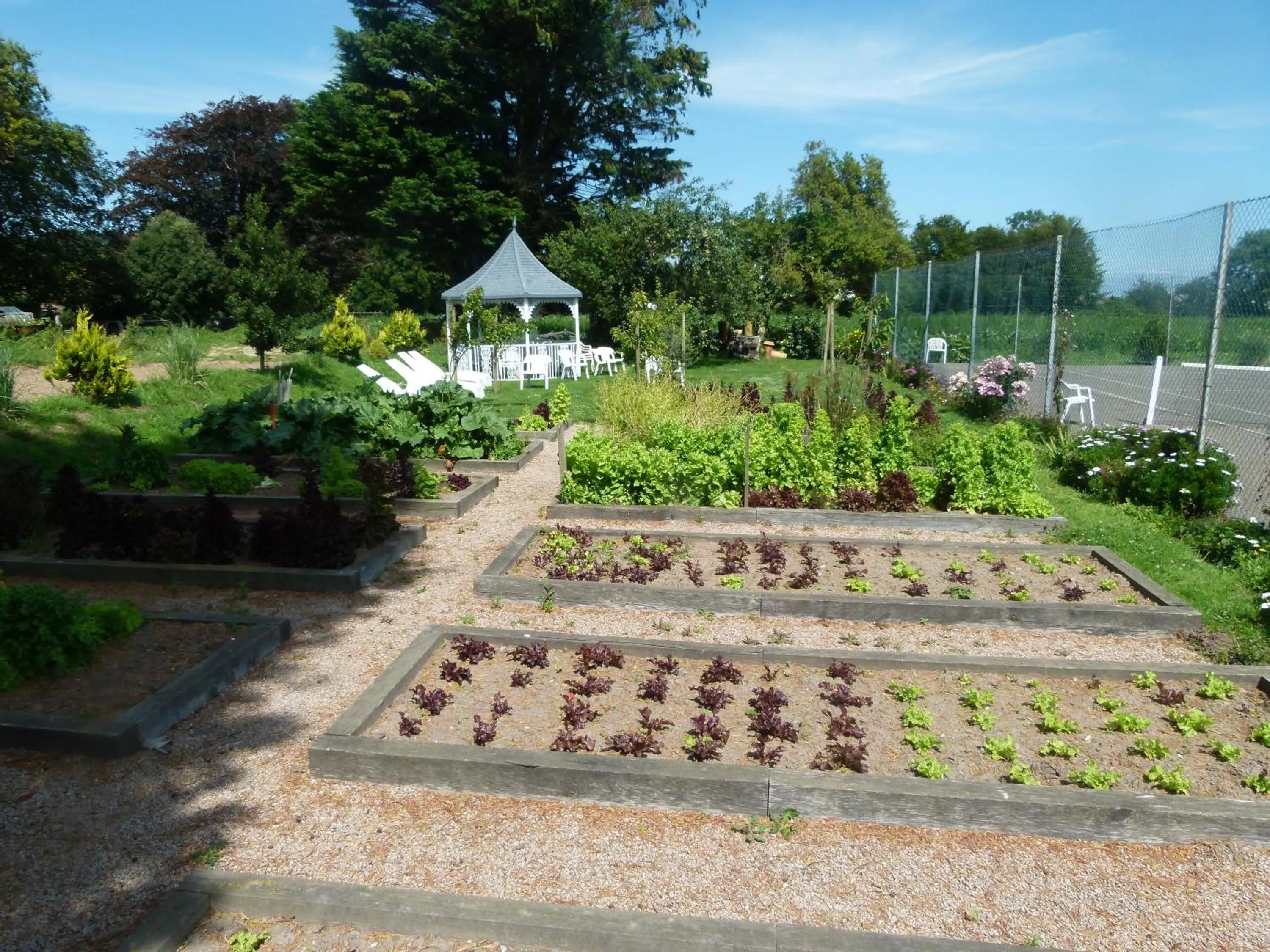 Garden in Beachcombers Hotel