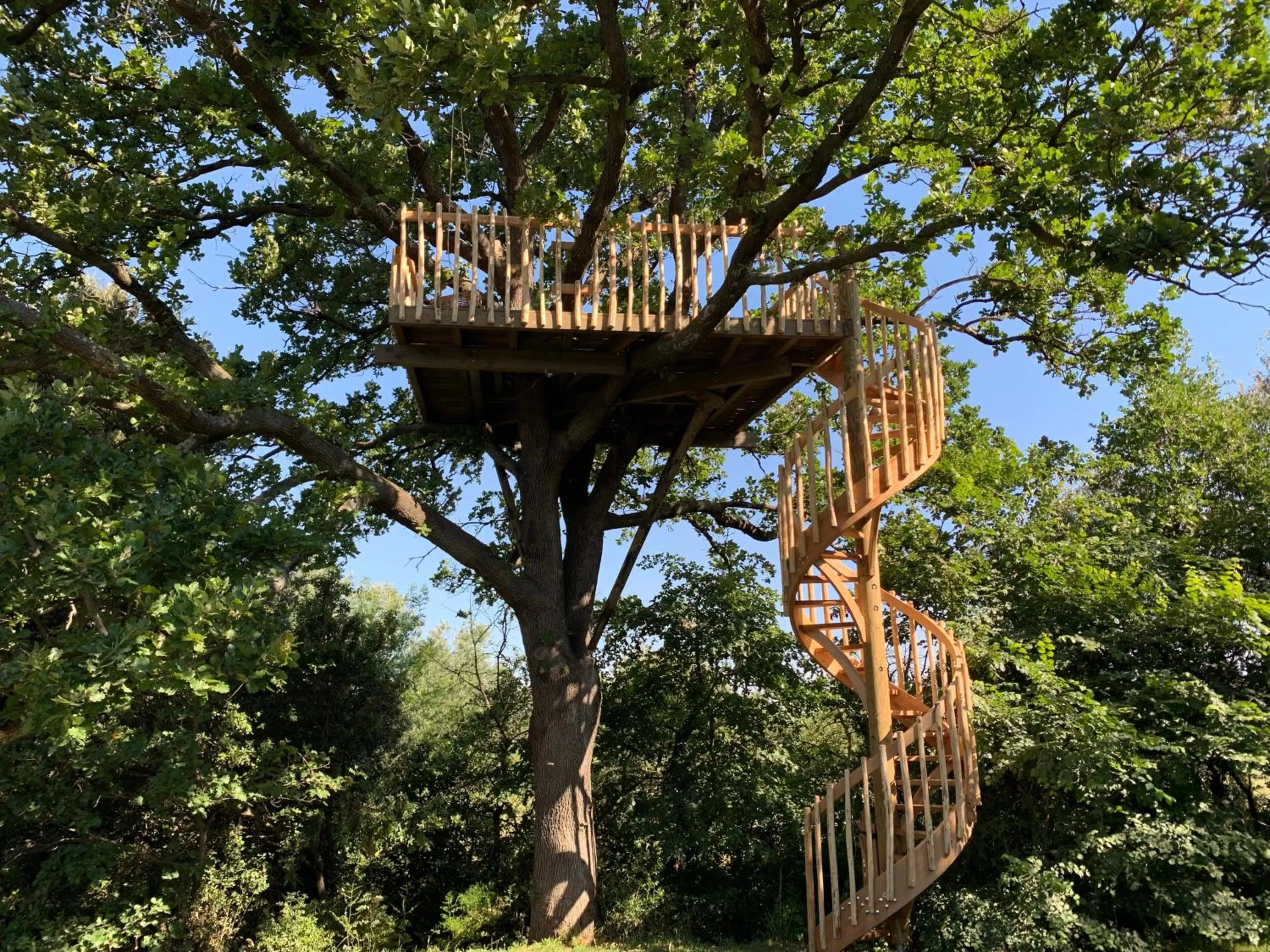 Garden in Mas Notre Dame