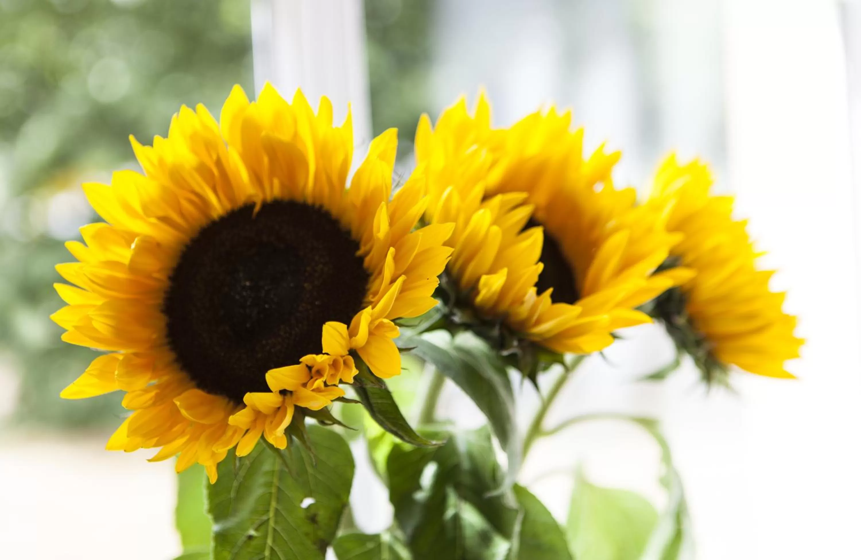 Other in Hotel Blechhammer