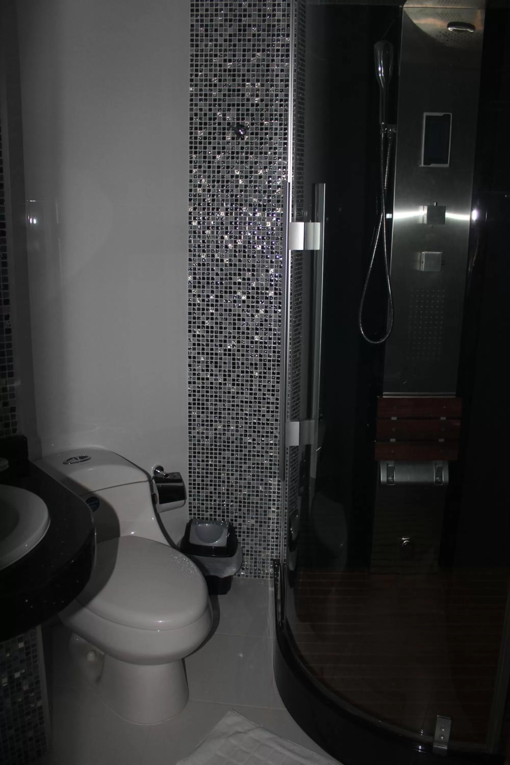 Bathroom in Hotel Palonegro