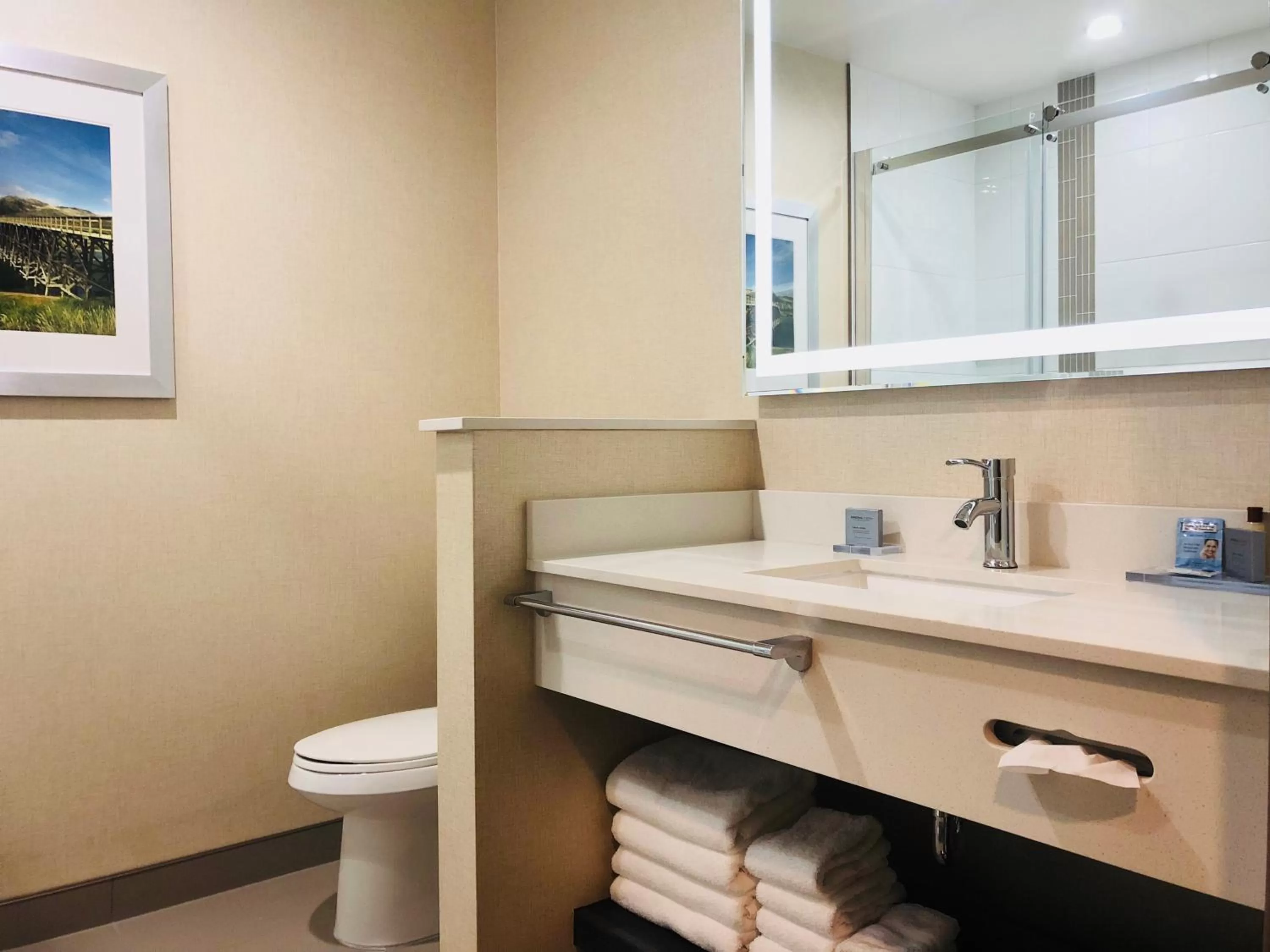 Bathroom in Wingate by Wyndham Kamloops