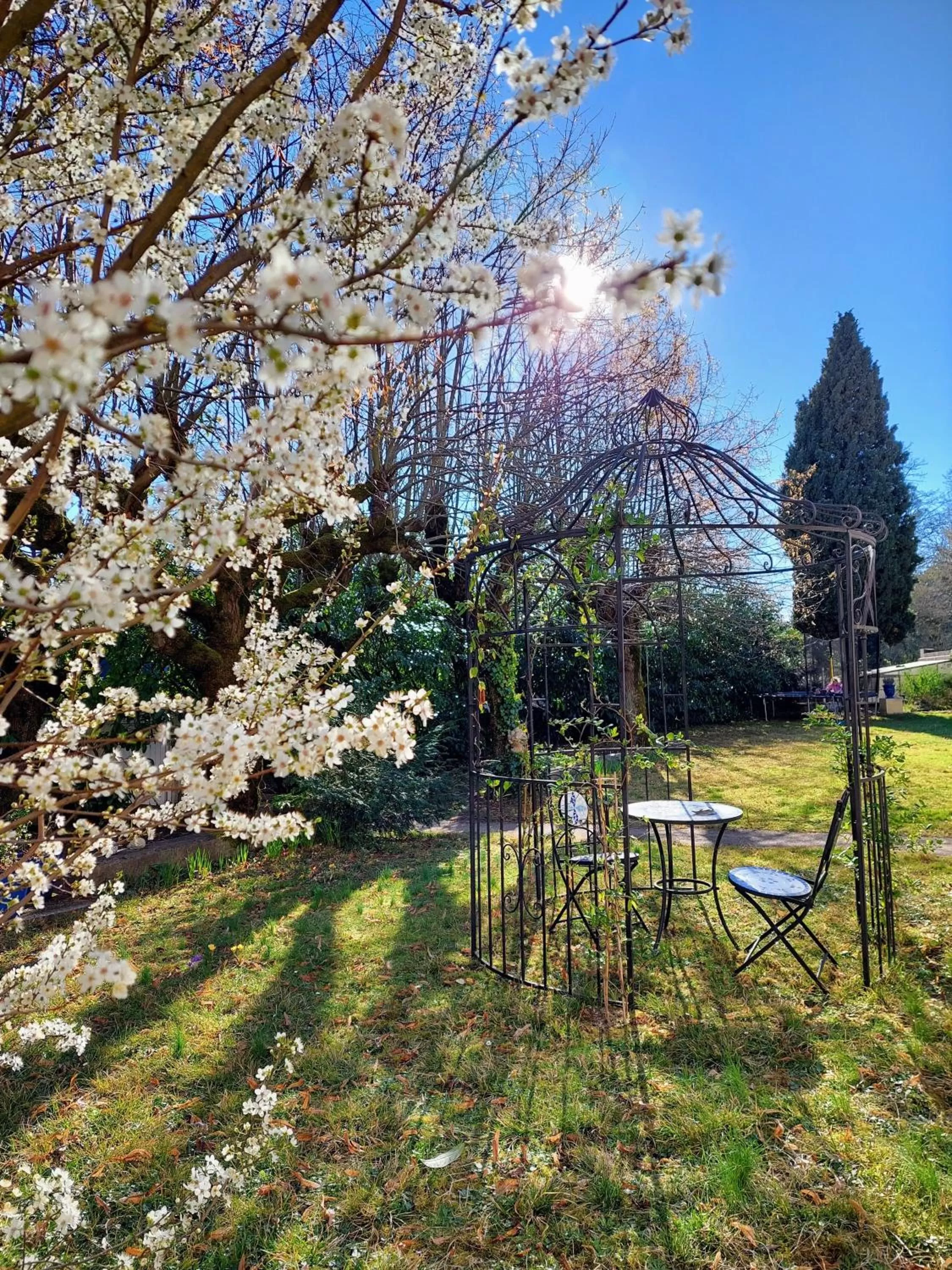 Garden in La Maucannière