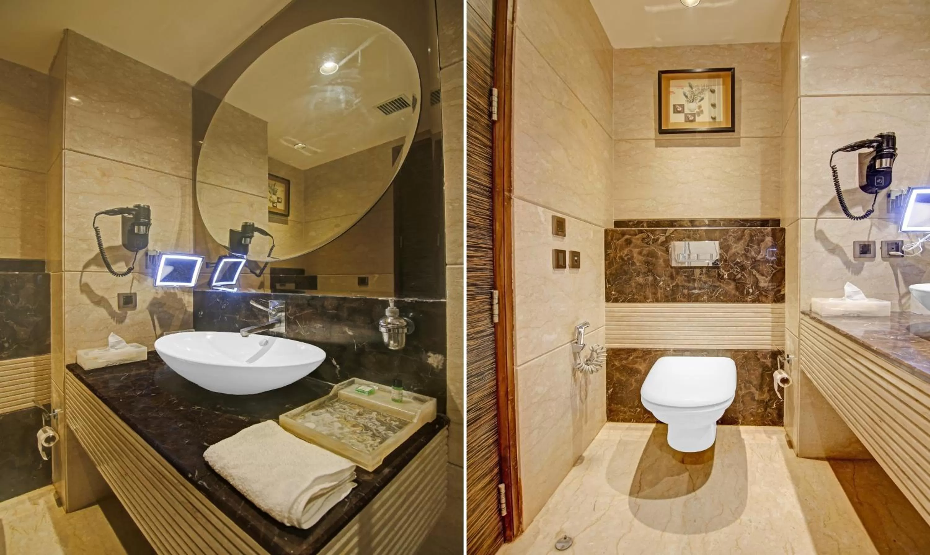 Toilet in Treebo Premium Arista