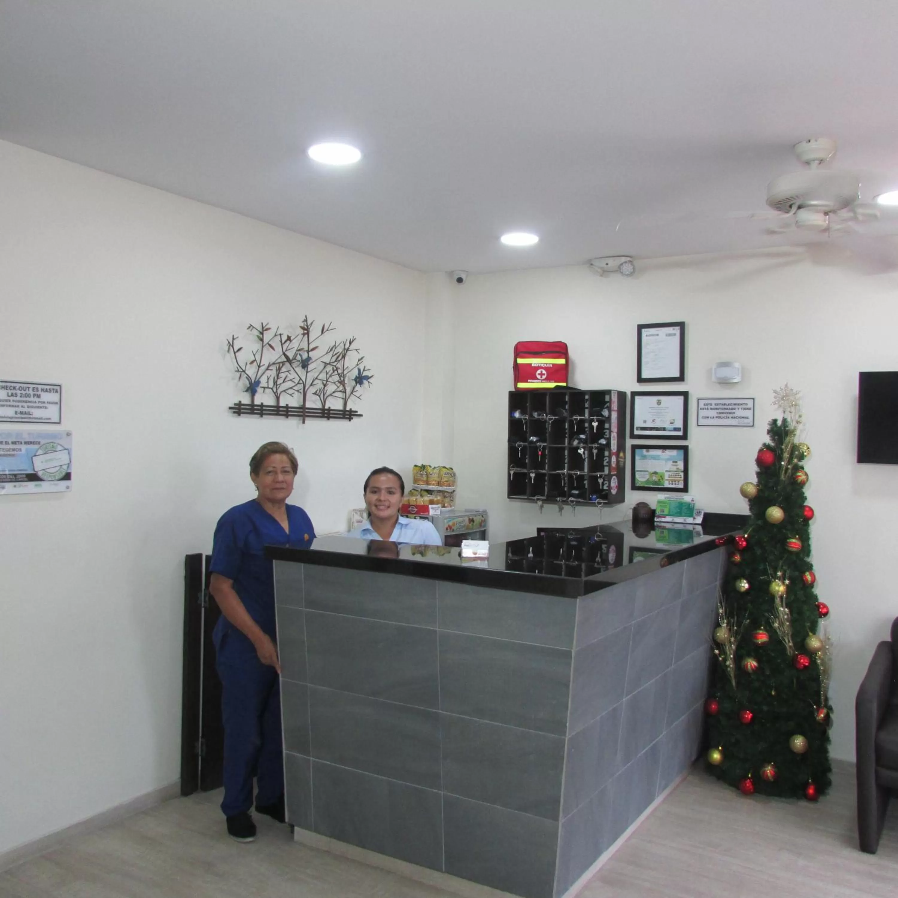 Lobby/Reception in Hotel Via Principal I