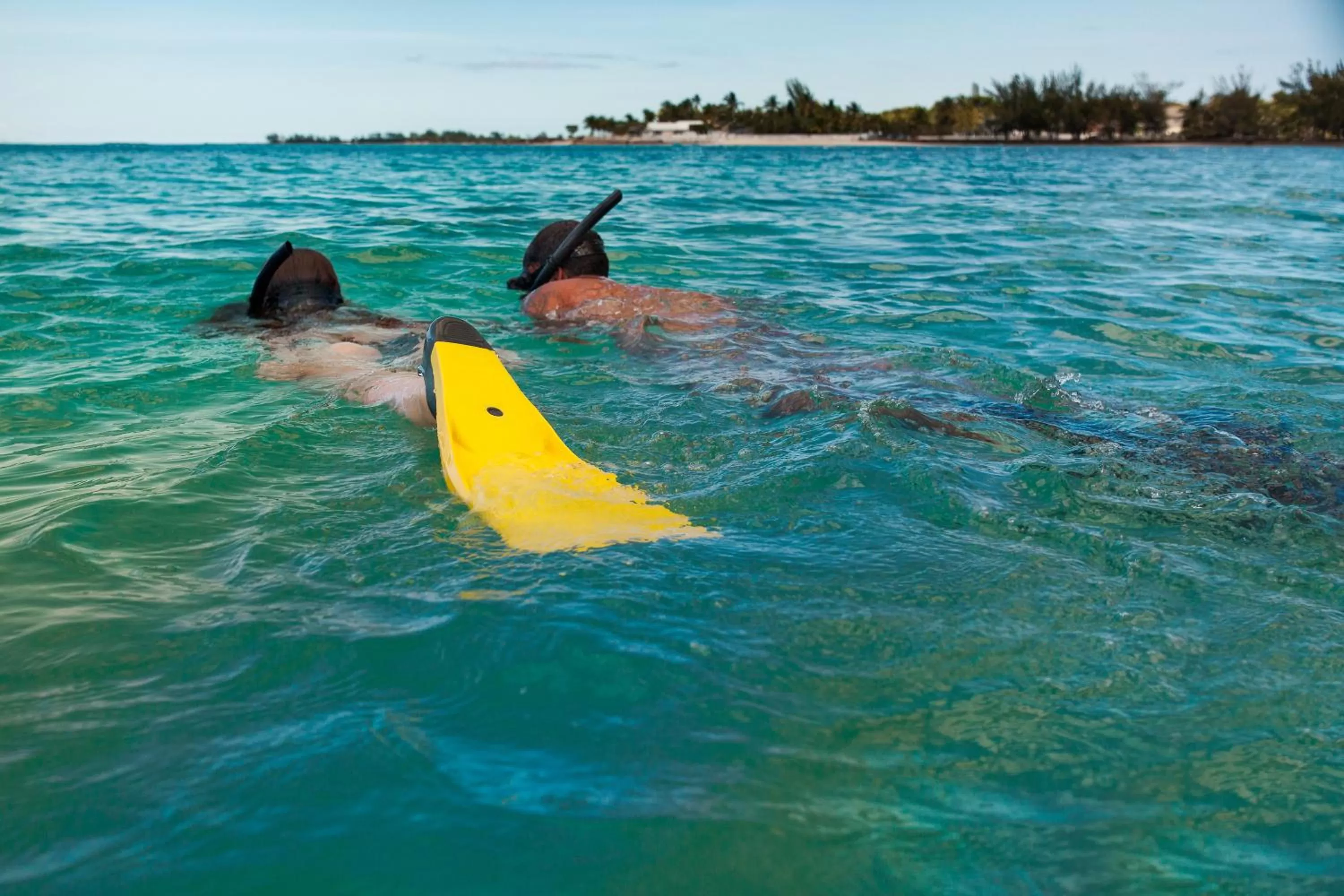 Natural landscape in Goldwynn Resort & Residences