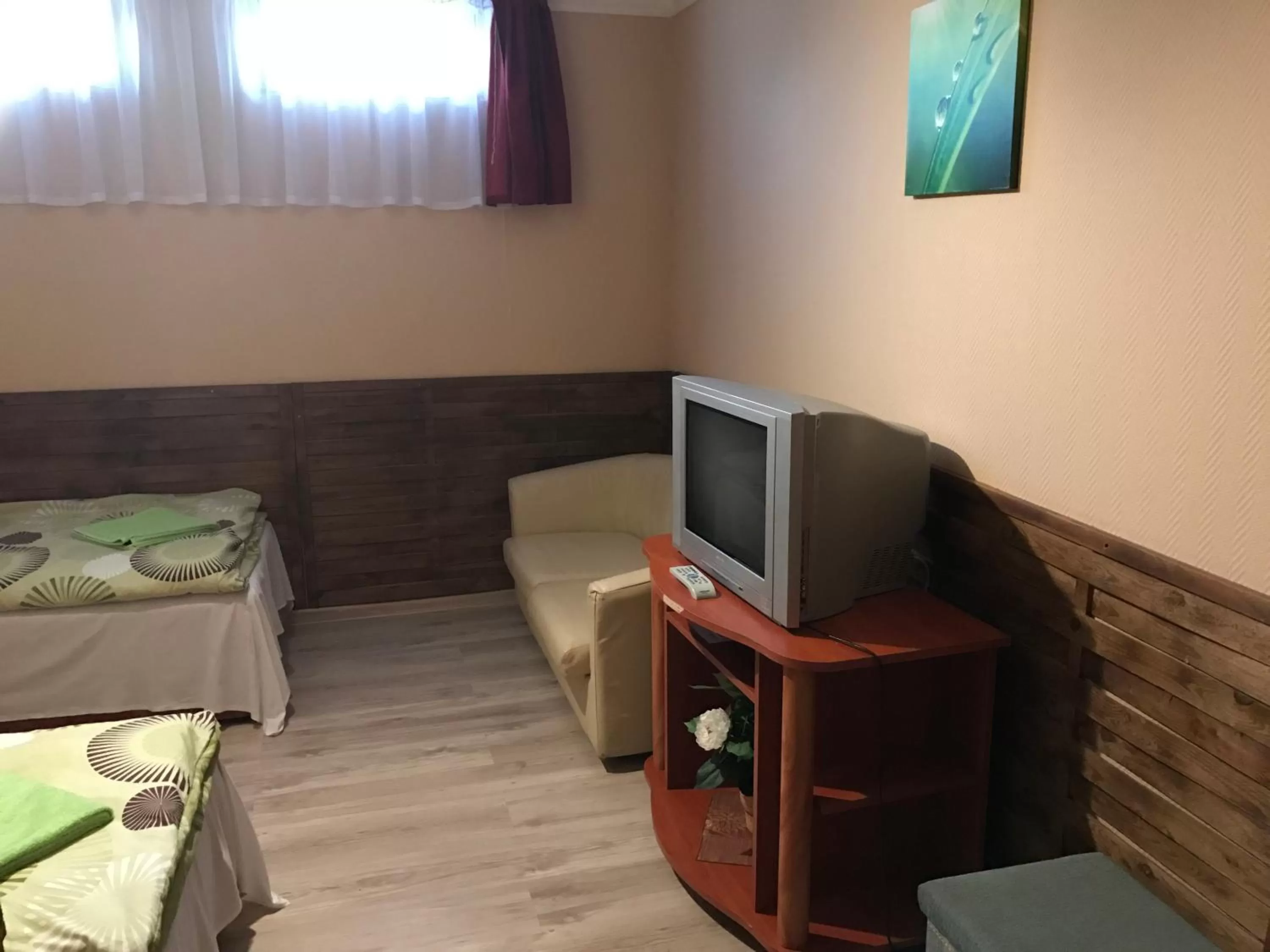 TV/Entertainment Center in Abszolút Hotel és Panzió