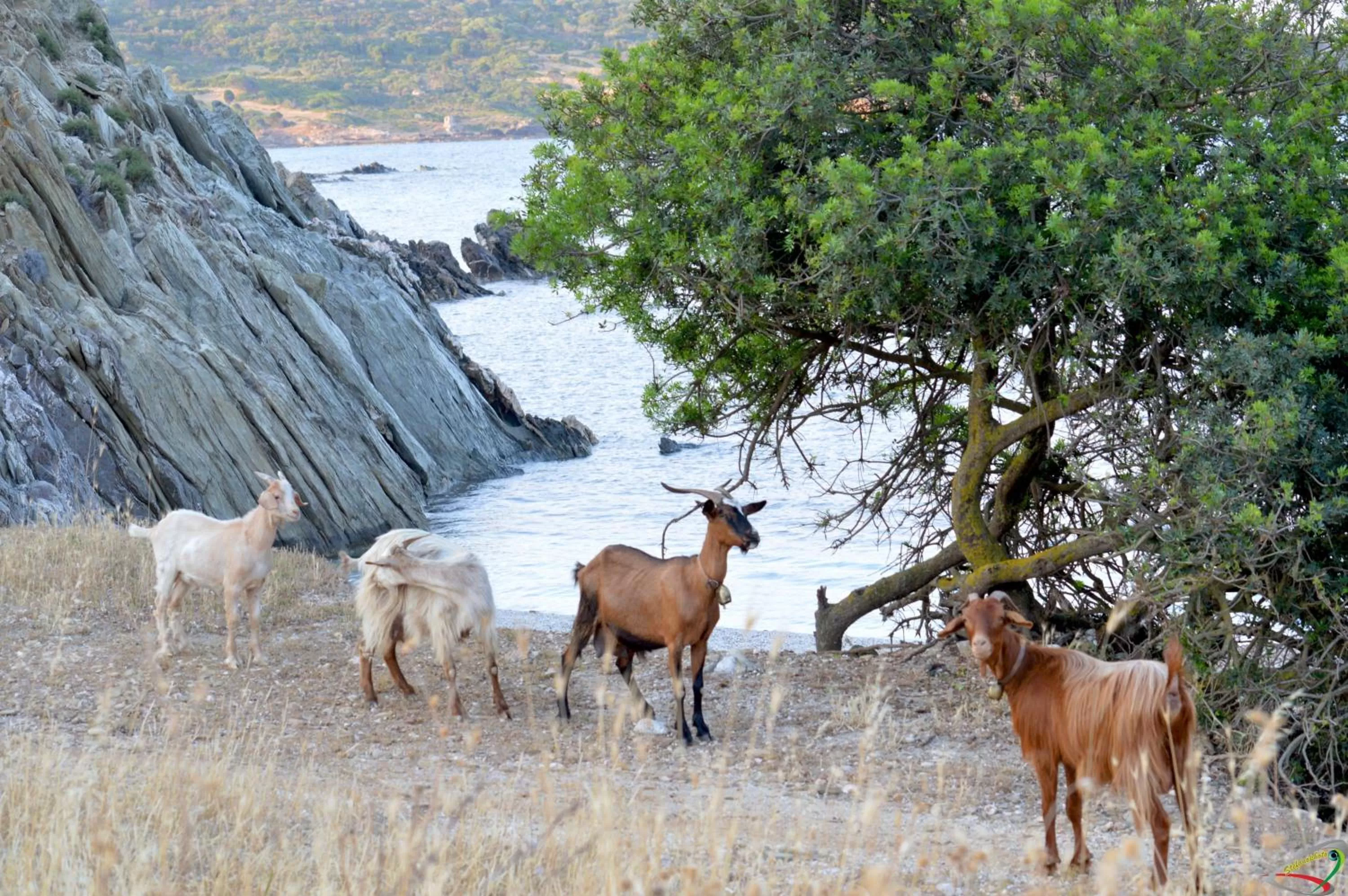 Nearby landmark in Hotel Jasmine