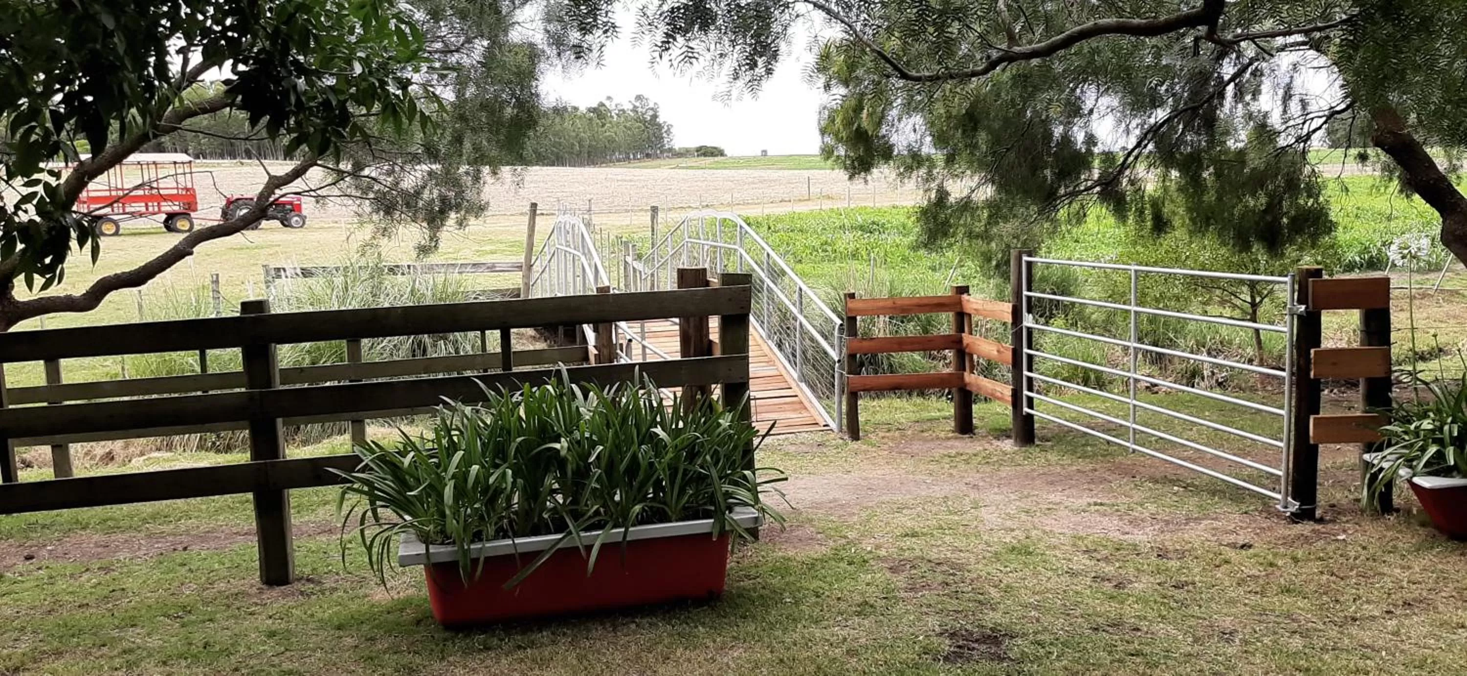 Garden in Estancia Renacimiento