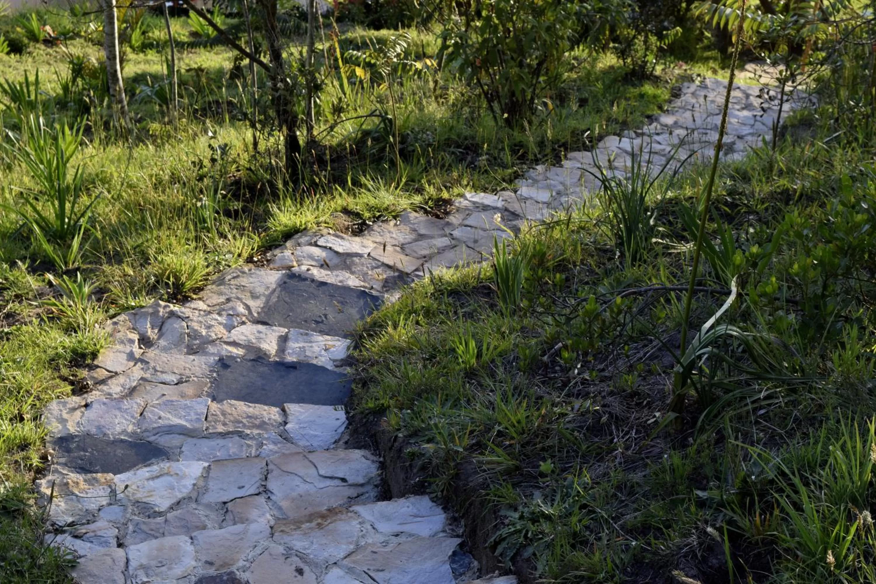 Garden in El Pedregal Sopó