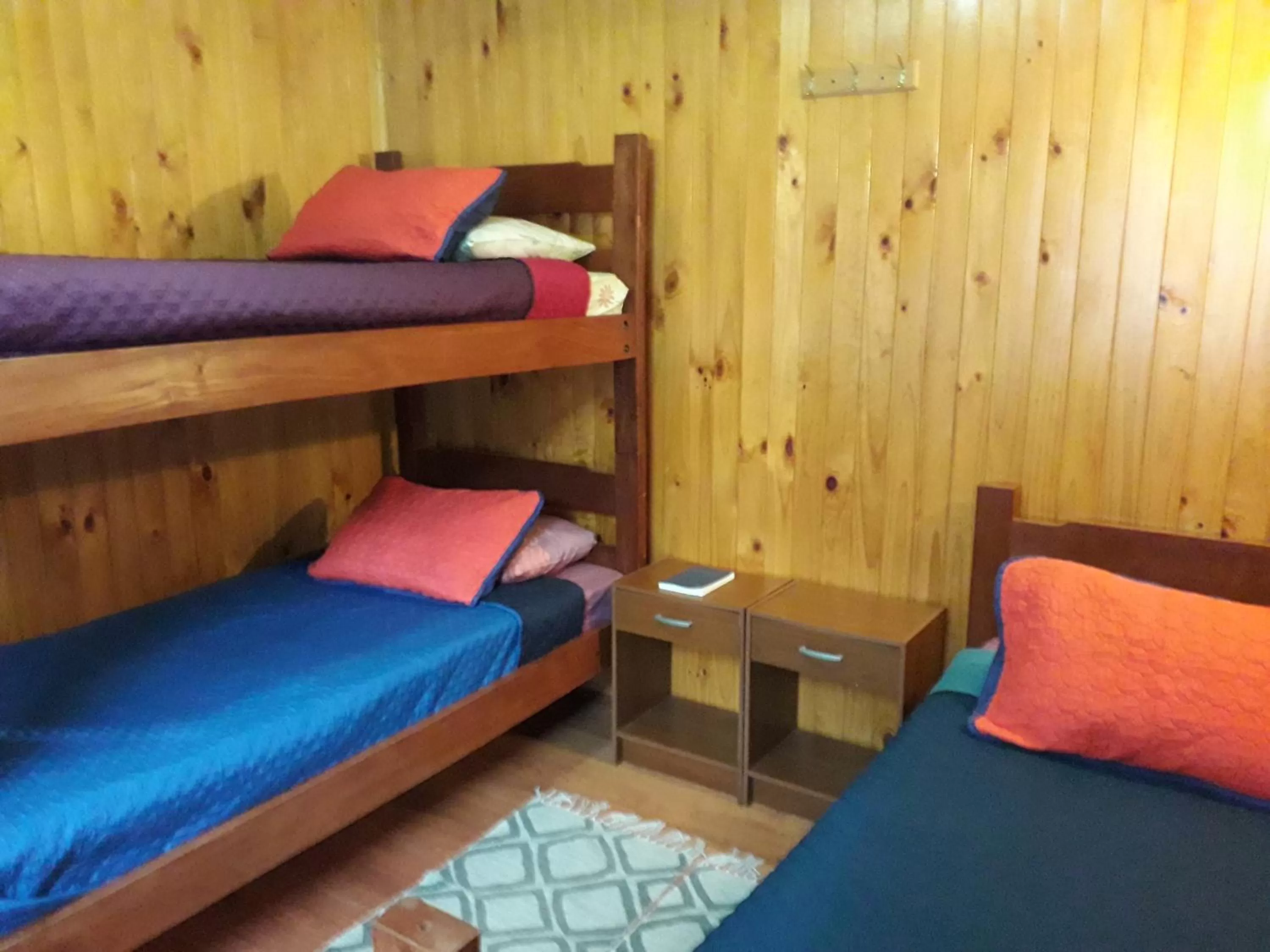 Bunk Bed in Apart-Hotel Colonia-Königsberg ESTACIONAMIENTO Deptos Completos Ubicado En El Centro De Valdivia AIRE ACONDICIONADO