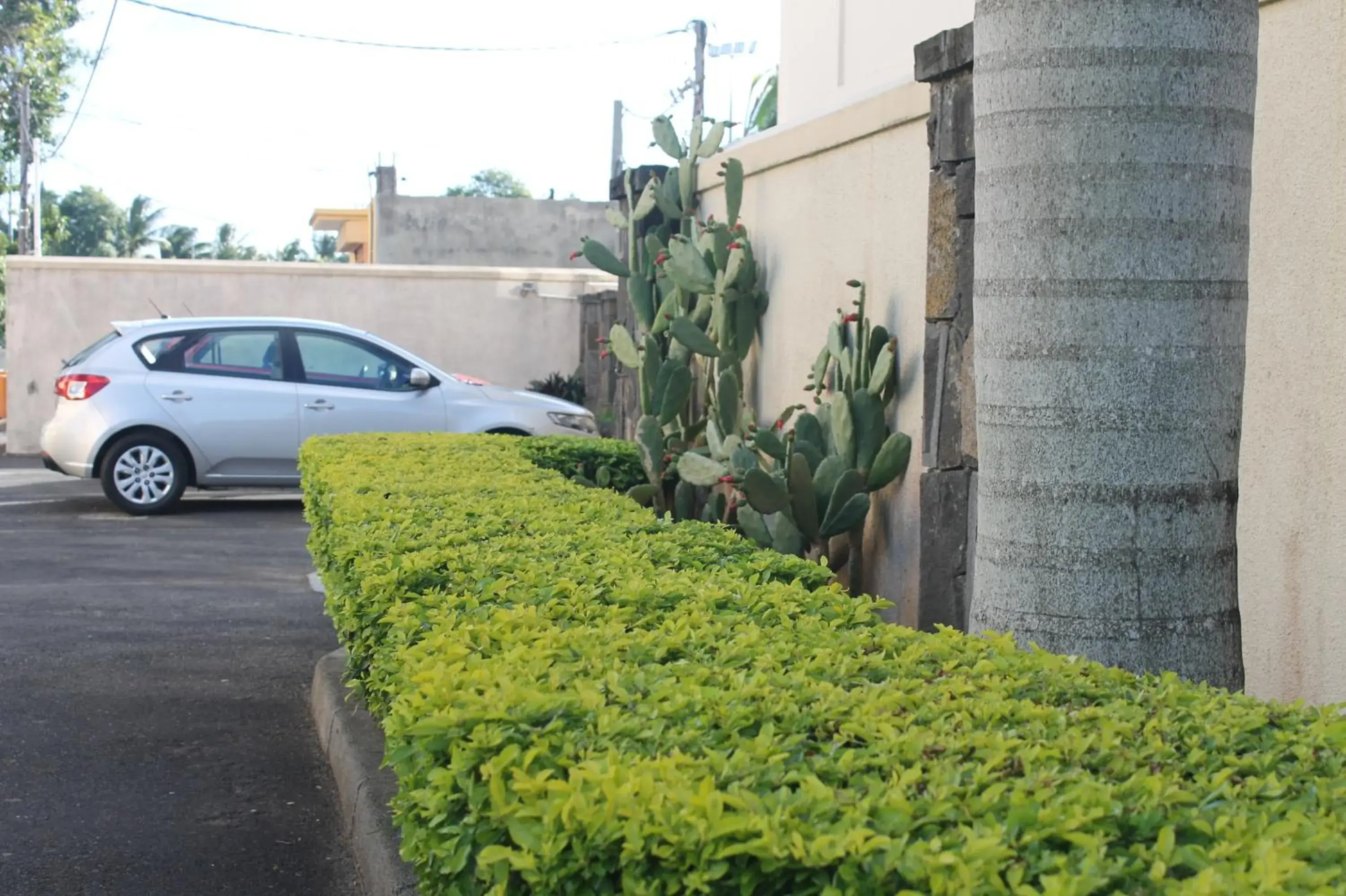 Apartment in Grand Bay Suites Apartment in Grand Bay Suites
