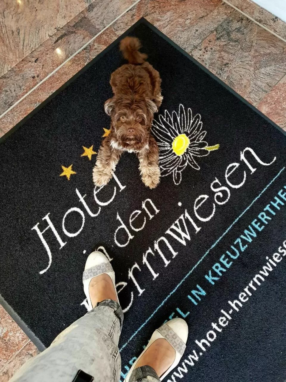 Pets in Hotel in den Herrnwiesen