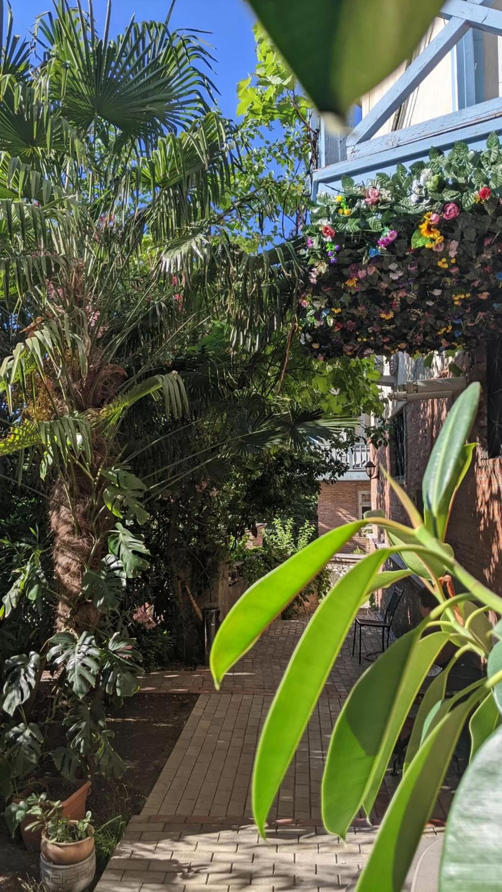 Garden in Hotel Kalanga