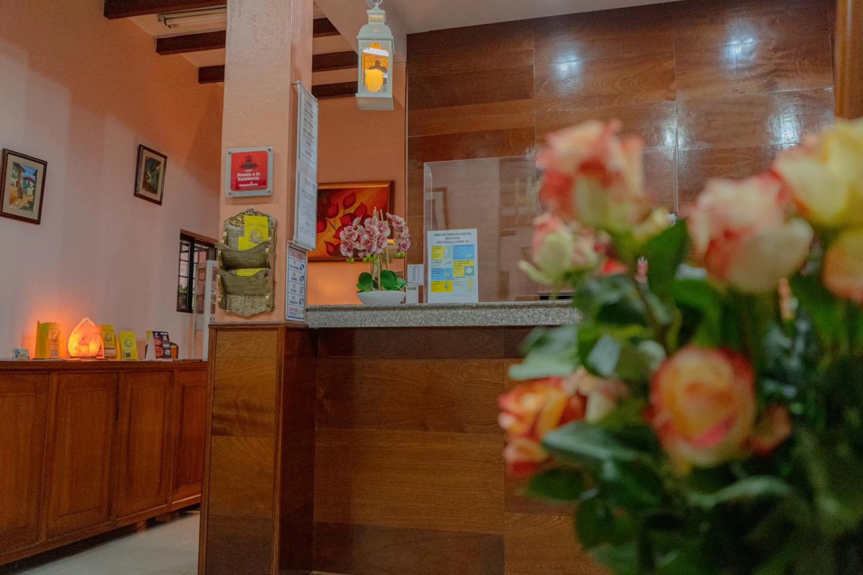 Lobby or reception in Rincón Familiar Hostel Boutique