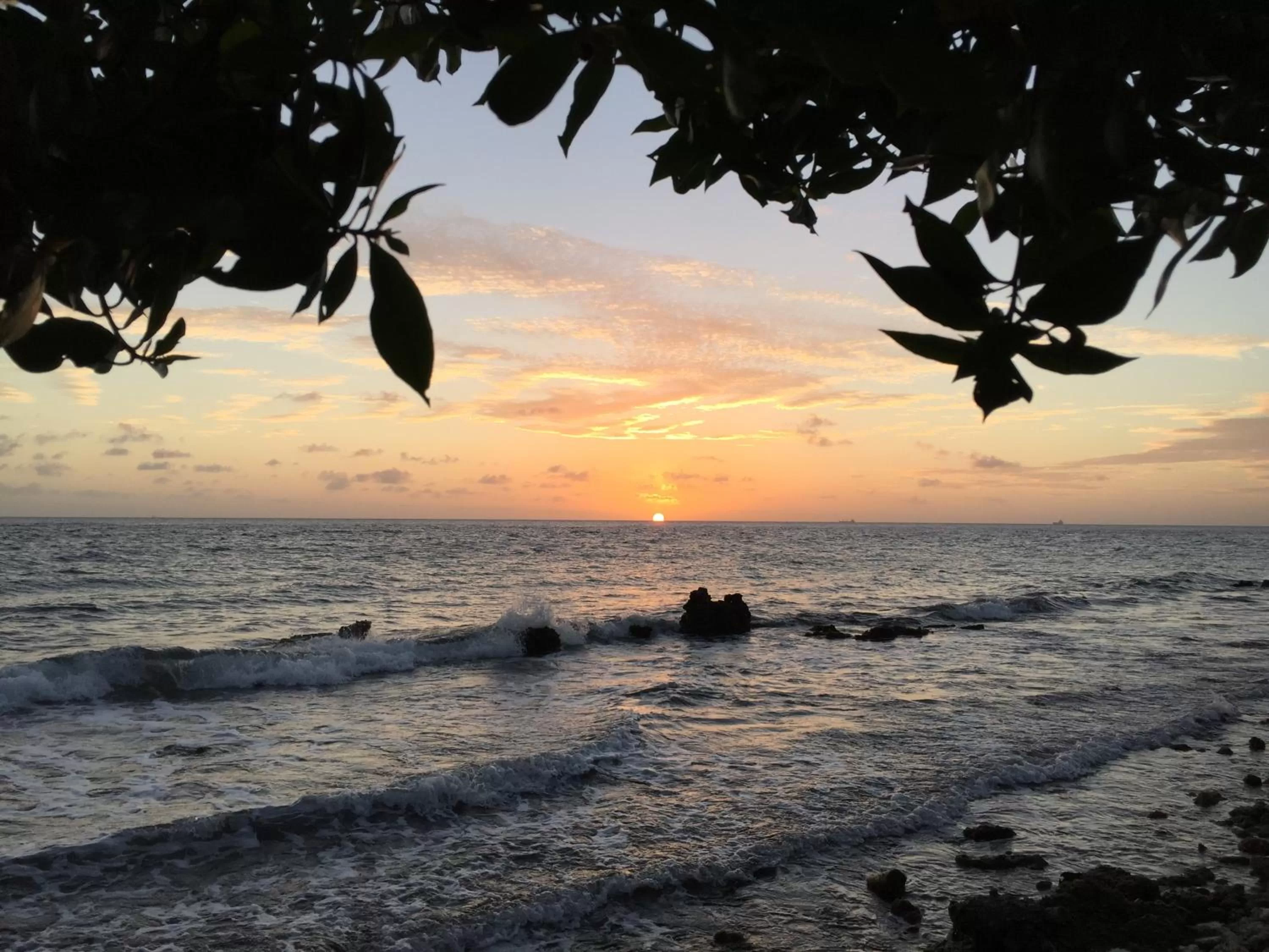 Off site in The Pier Beach Inn & Suites