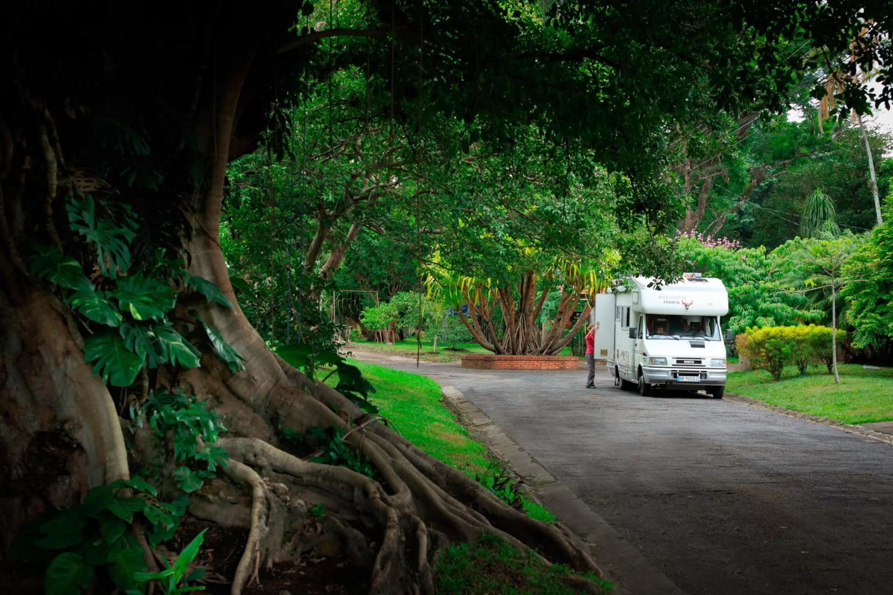 Garden in Airport Costa Rica B&B