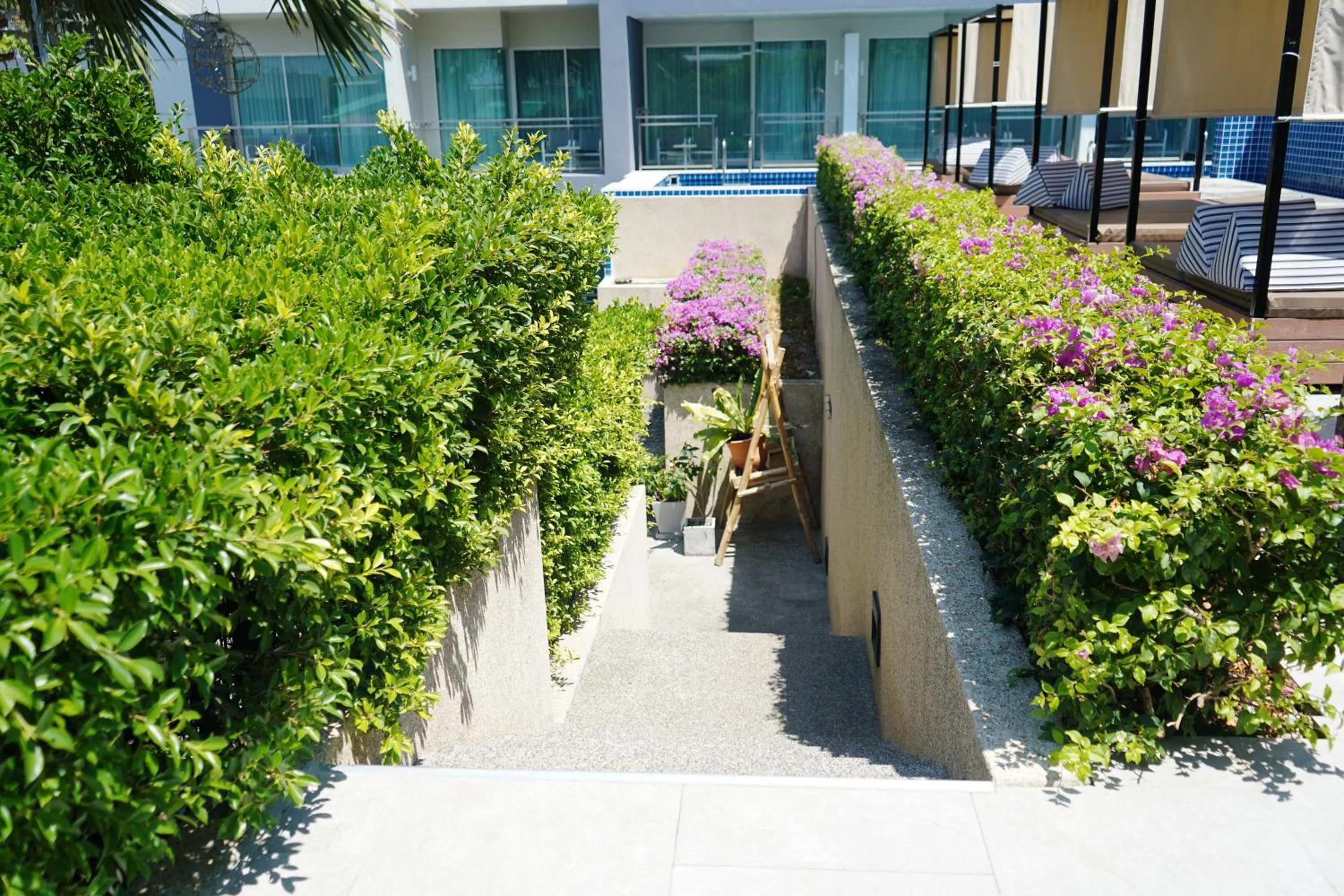 View (from property/room) in Sugar Palm Grand Hillside - SHA Plus