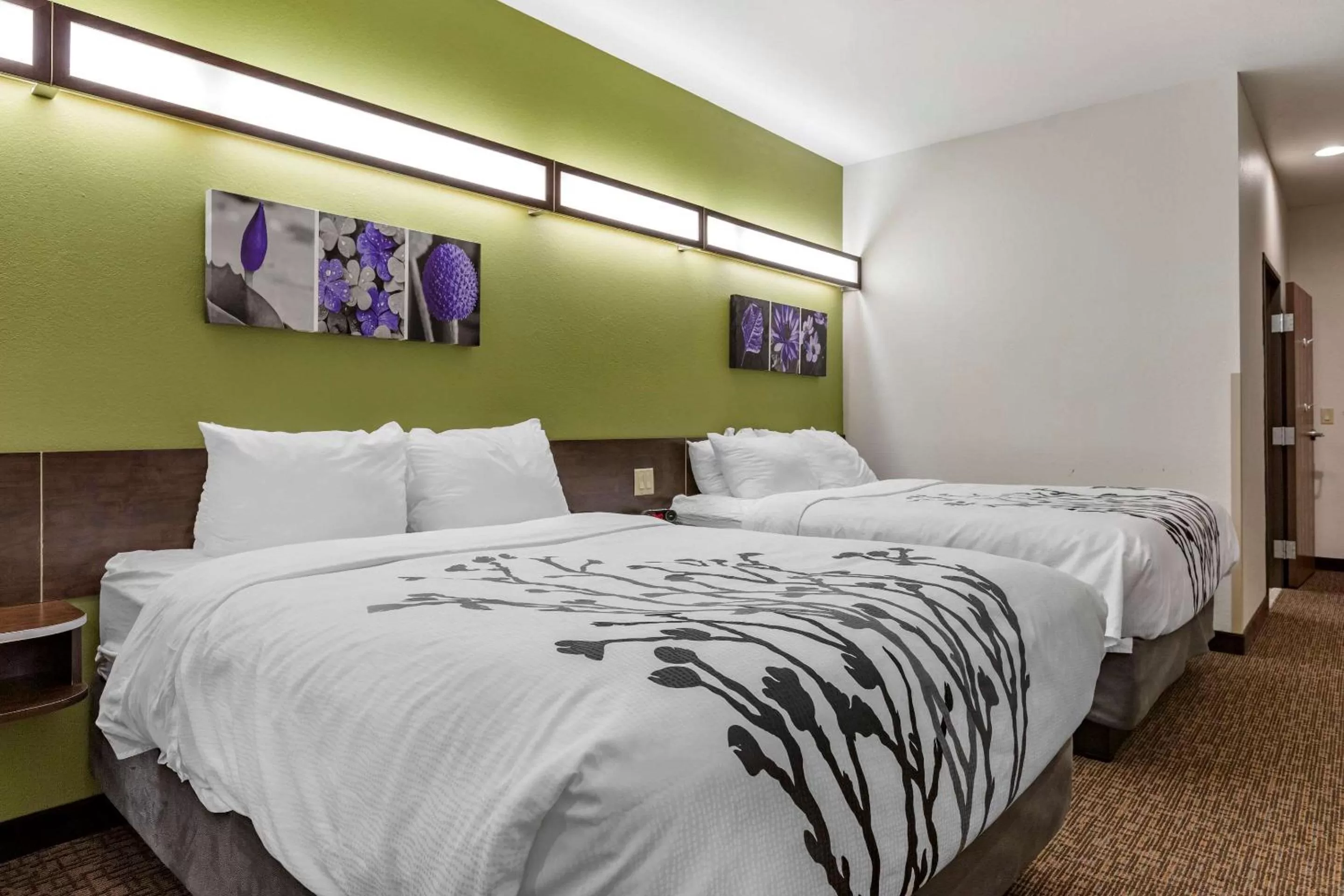 Bedroom, Bed in Sleep Inn & Suites Kalamazoo Southwest