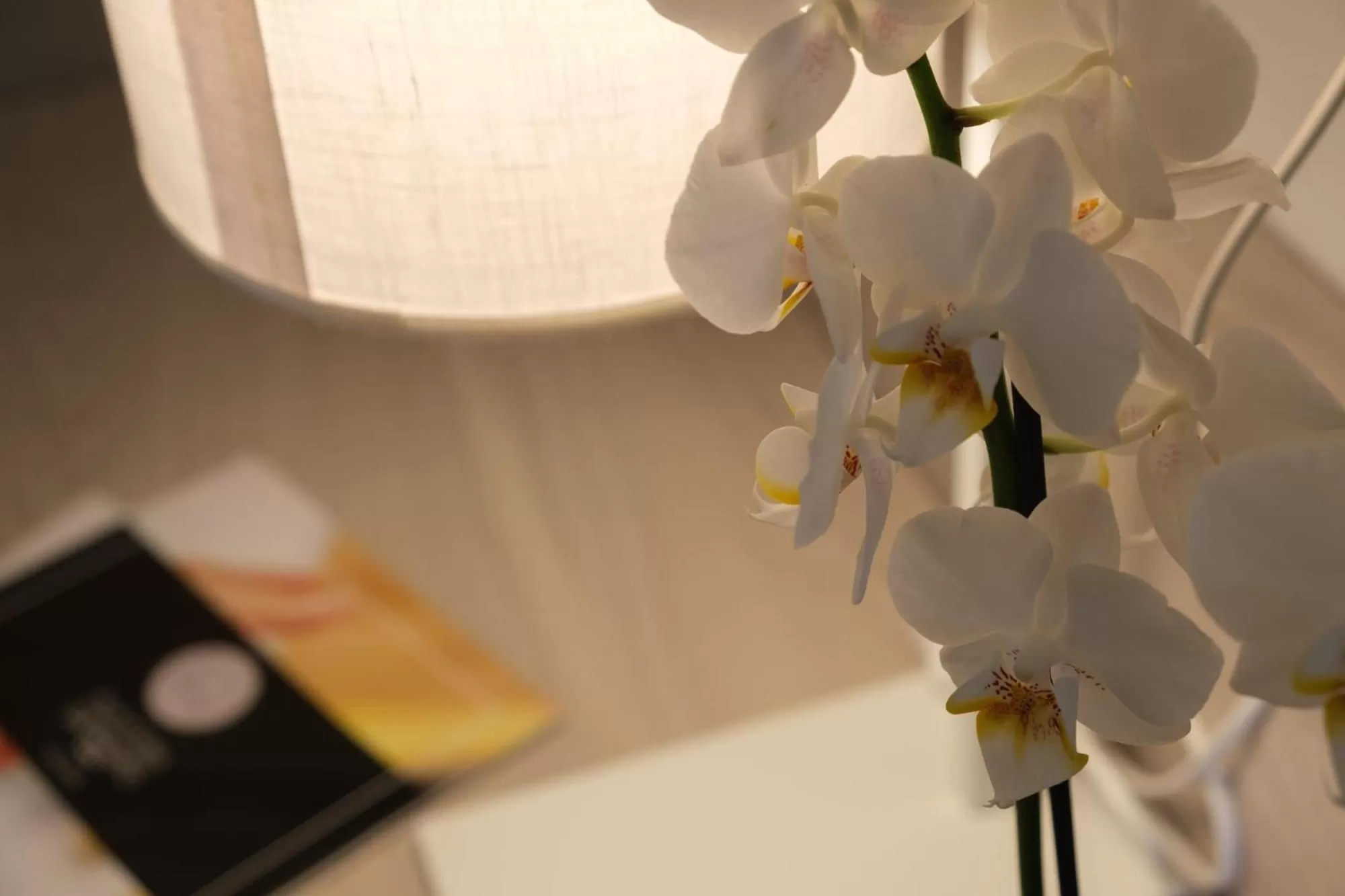 Decorative detail in Hotel Ristorante Alla Vittoria