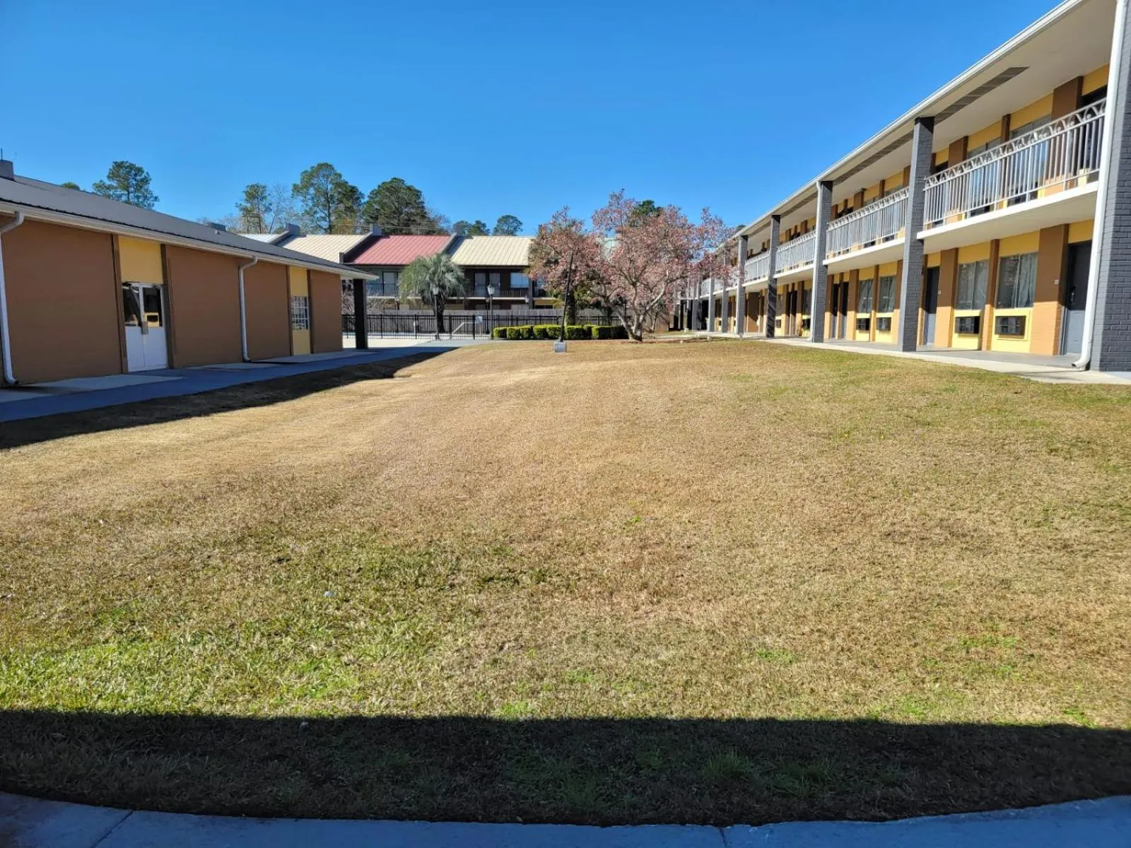 Garden in Executive Inn & Suites