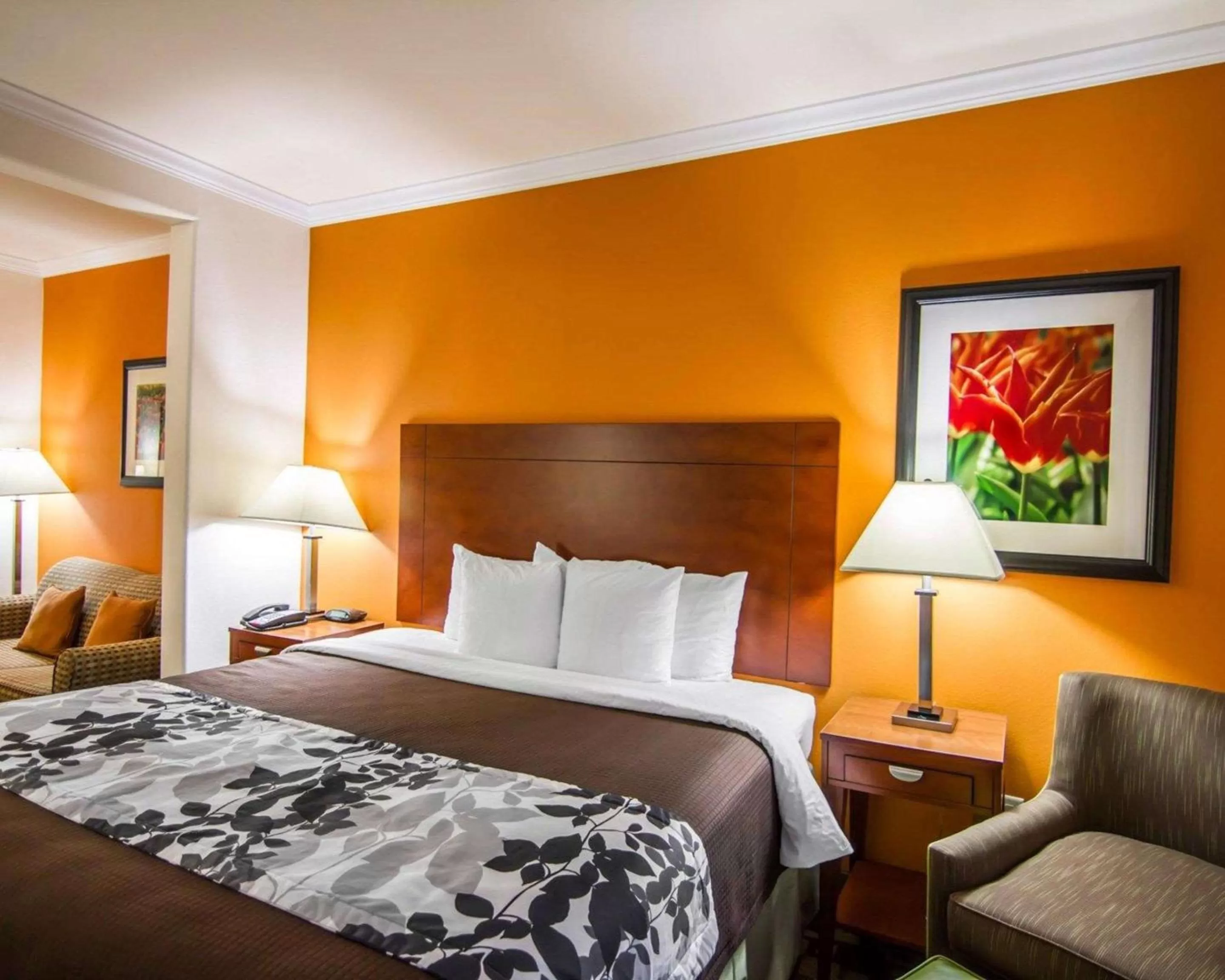 Photo of the whole room in Sleep Inn & Suites Shreveport West