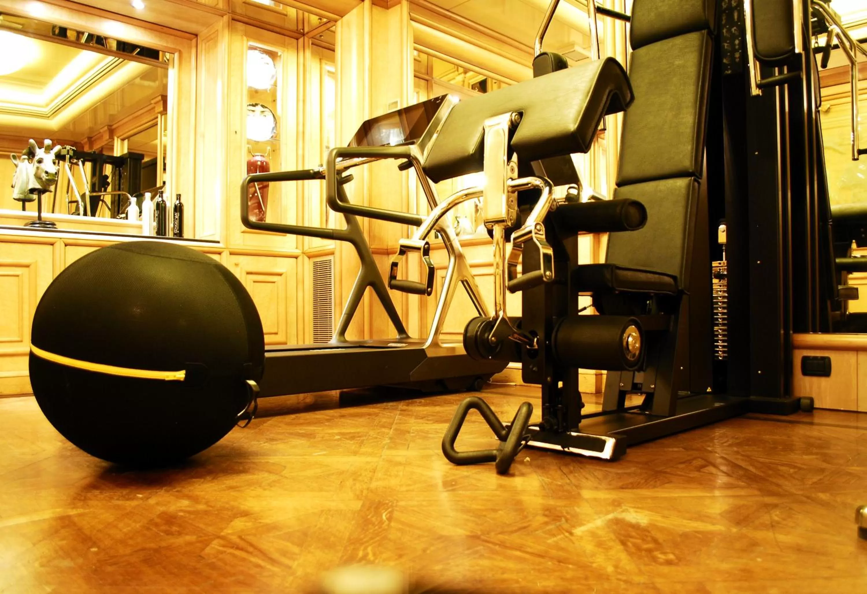 Fitness centre/facilities in Hotel Valadier