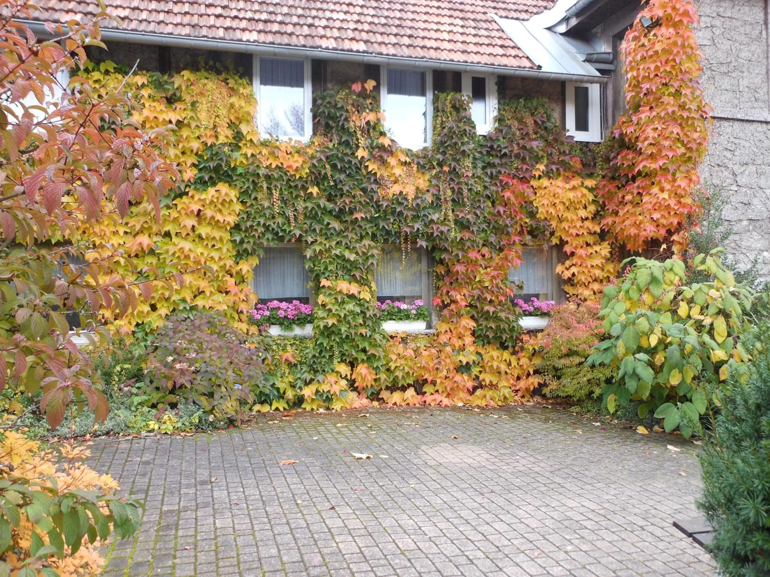 Autumn in Westfalenhof Garni