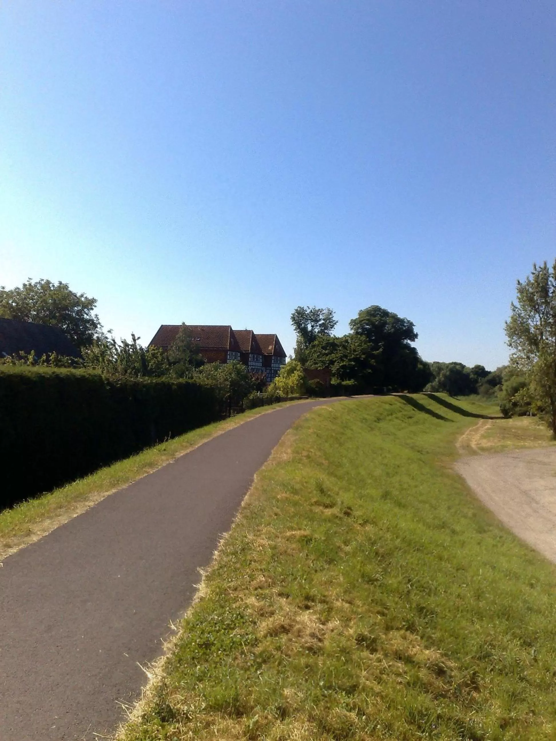 Area and facilities in Hotel ELBRIVERA Alt Prester