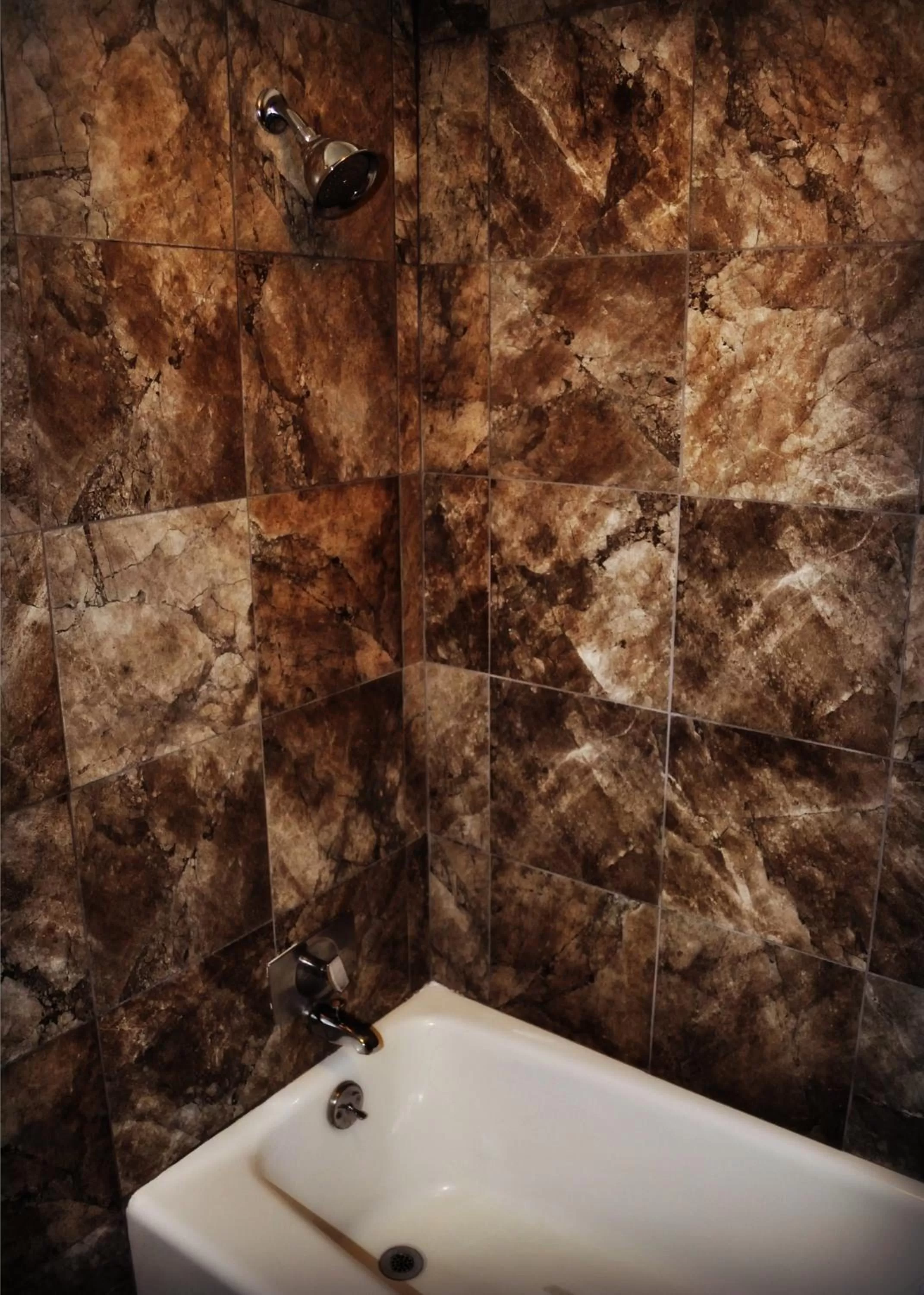 Bathroom in Town House Motel