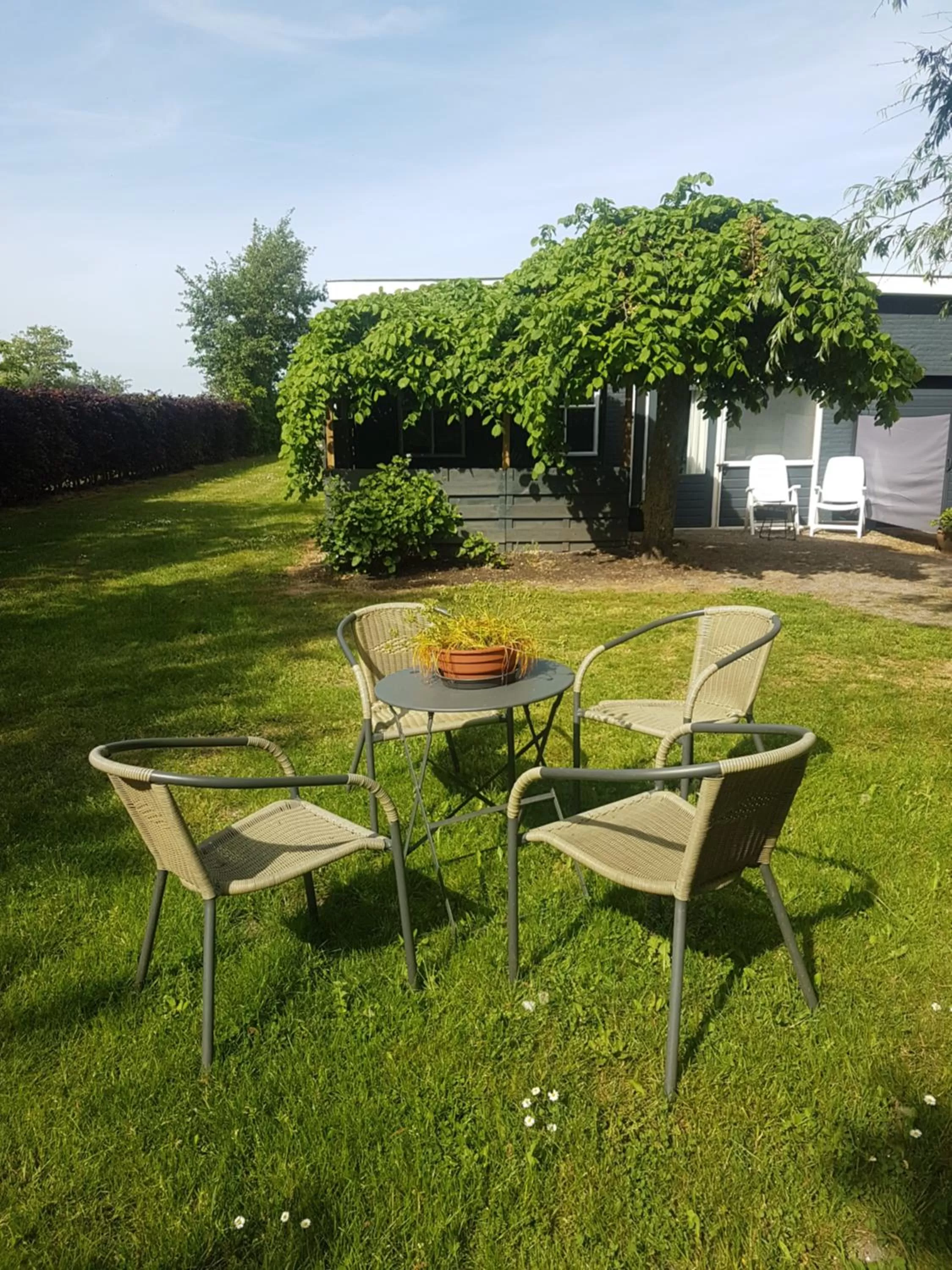 Garden in LUXE Bloemenzicht 4 personen, BnB, 10 minuten van zee