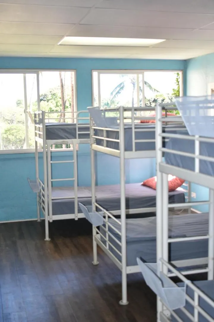 bunk bed, Bed in Polynesian Hostel Beach Club
